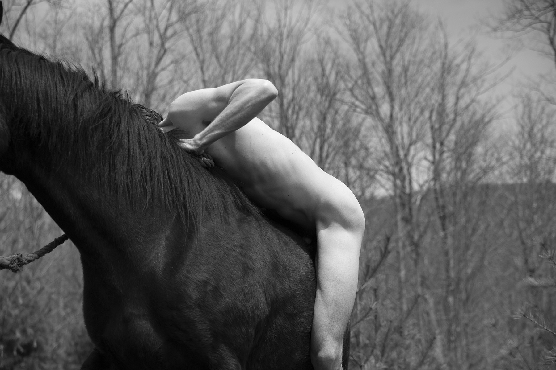Ricky Cohete, Untitled Ricky Cohete, Untitled