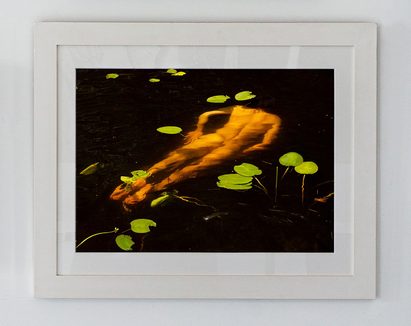 Ricky Cohete, Water lilies Ricky Cohete, Water lilies
