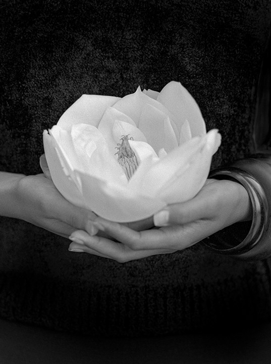 Richard Dunkley, Magnolia Richard Dunkley, Magnolia