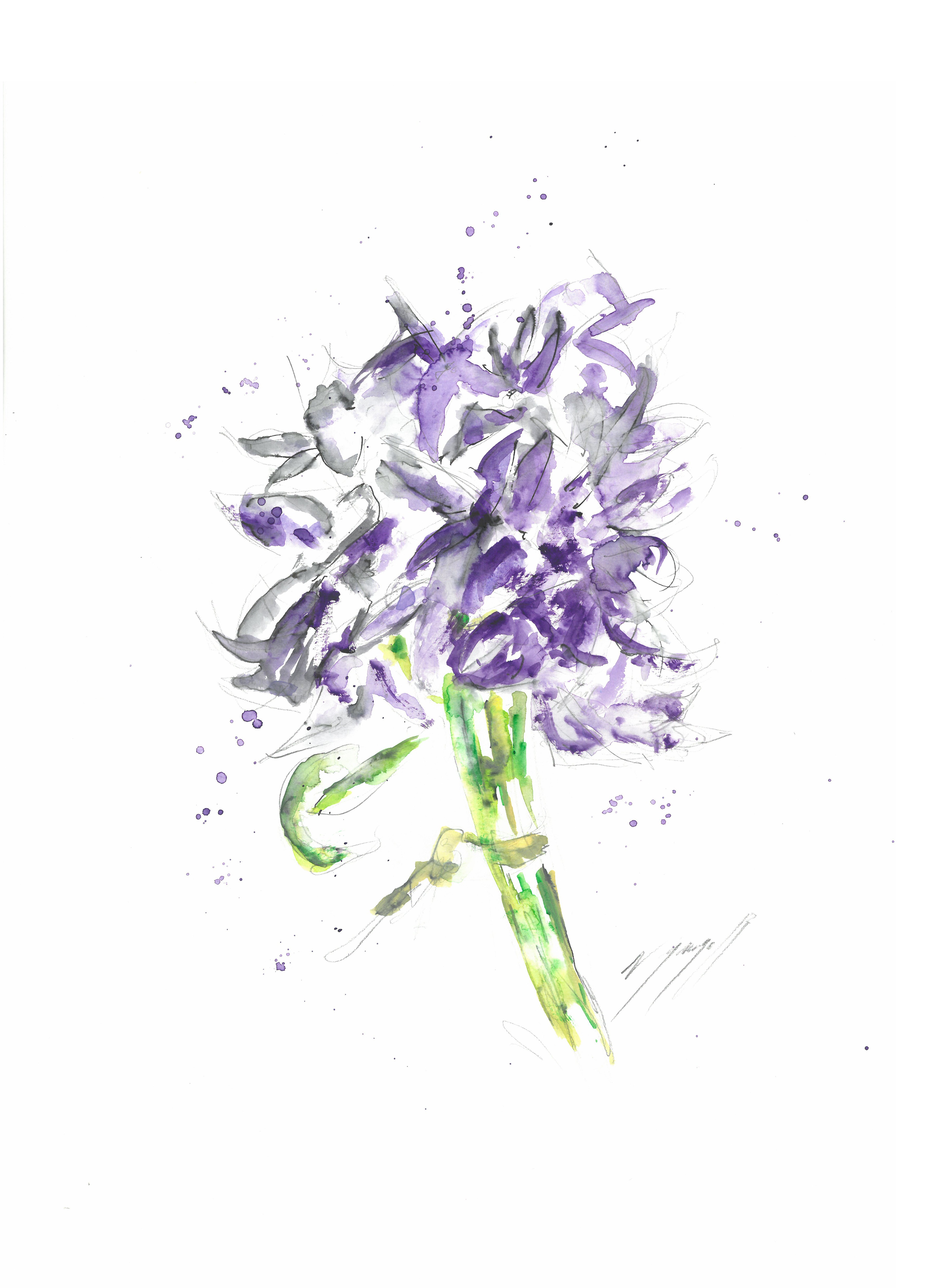 Noël Granger, Un bouquet de violette ! Noël Granger, Un bouquet de violette !