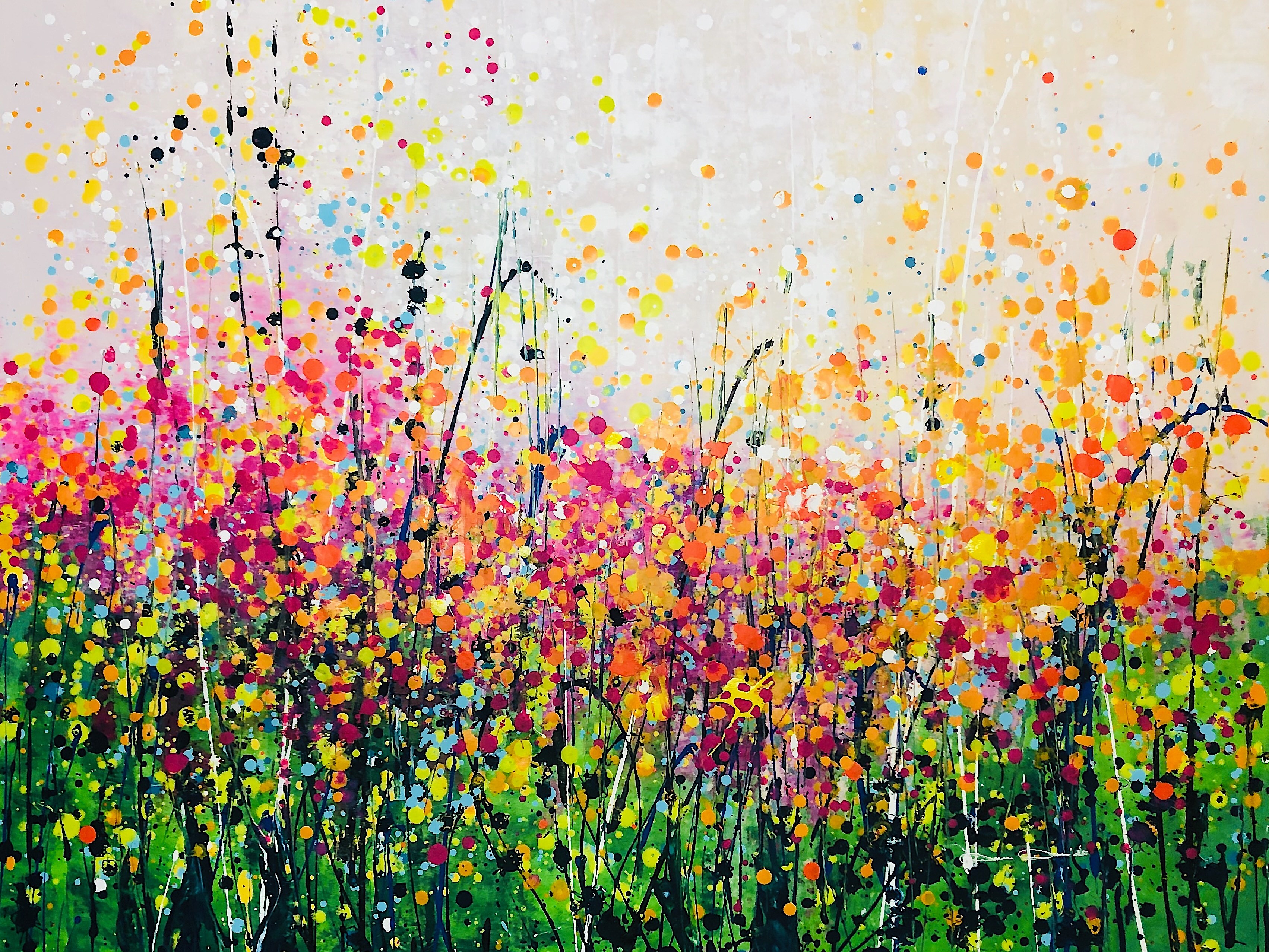 Dam Domido, Flowers by D D Dam Domido, Flowers by D D