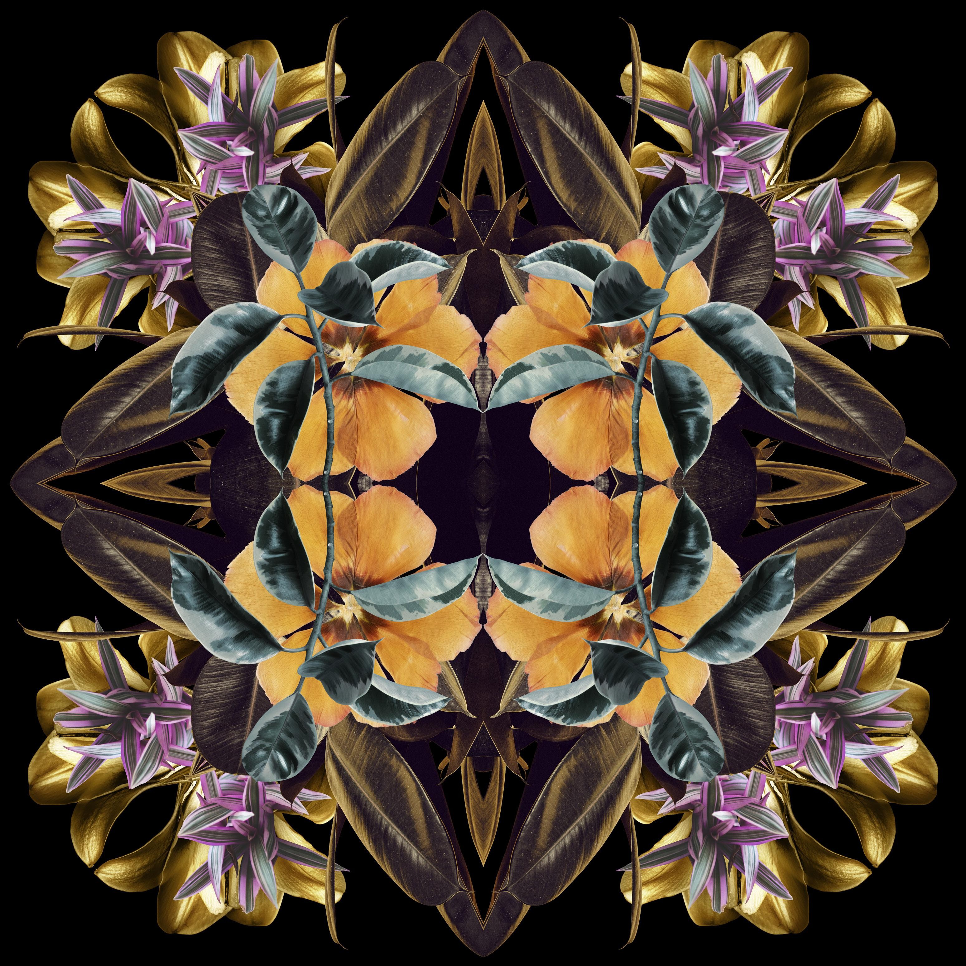Emma Anna, Mandala 8A Emma Anna, Mandala 8A