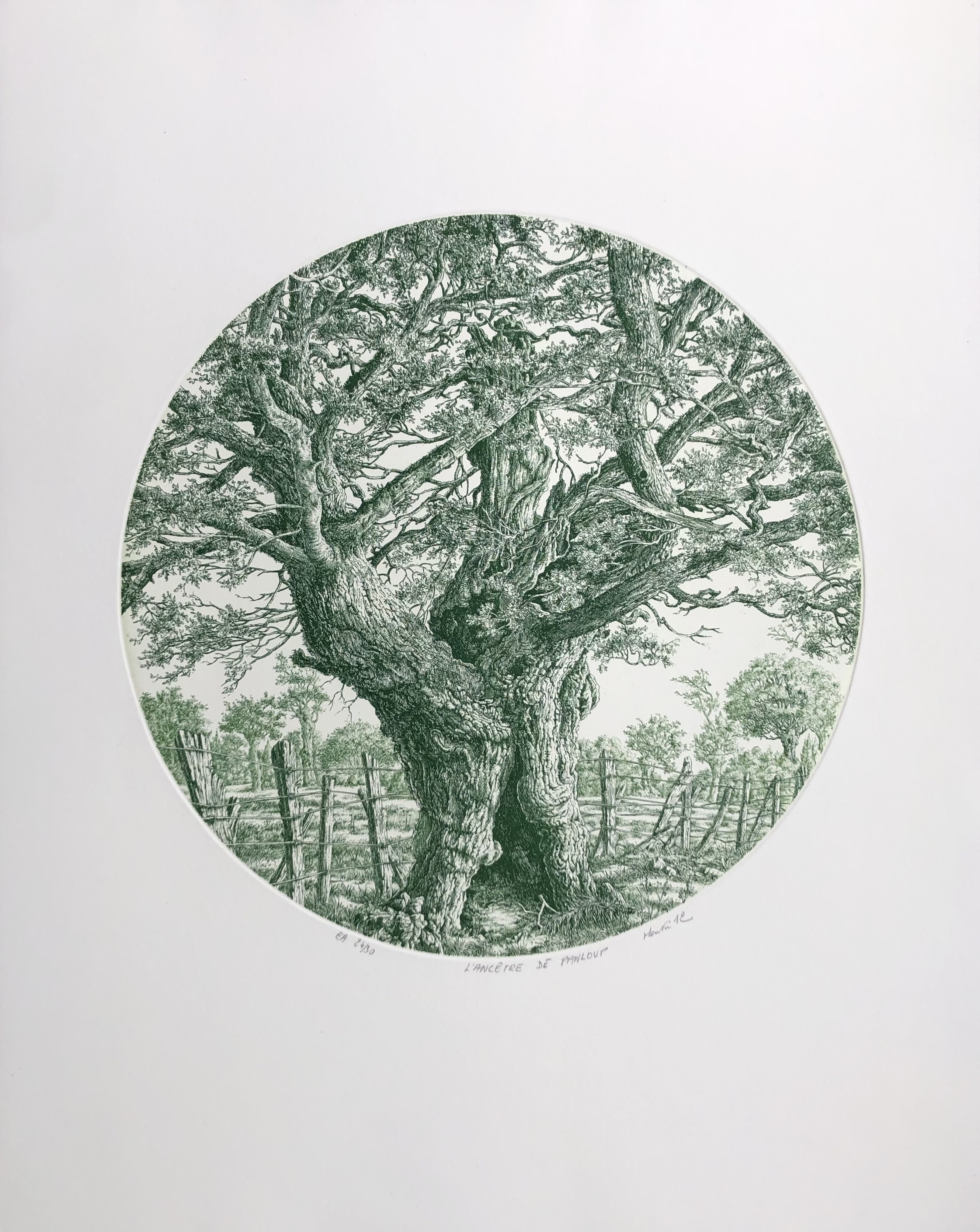 François Houtin, L'ancêtre de Panloup François Houtin, L'ancêtre de Panloup