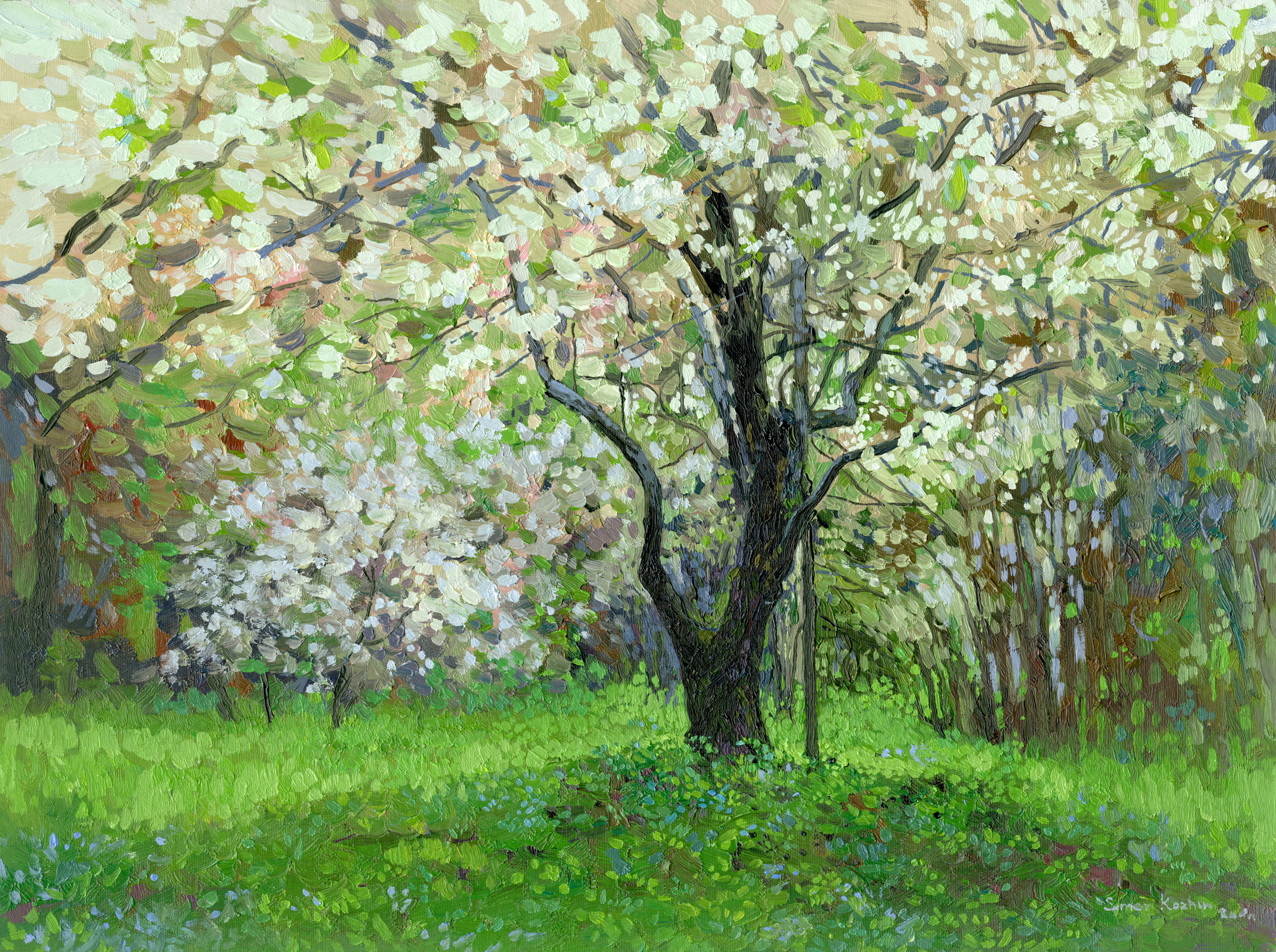 Simon Kozhin, Apple blossom. Kolomenskoyoe gardens. Simon Kozhin, Apple blossom. Kolomenskoyoe gardens.