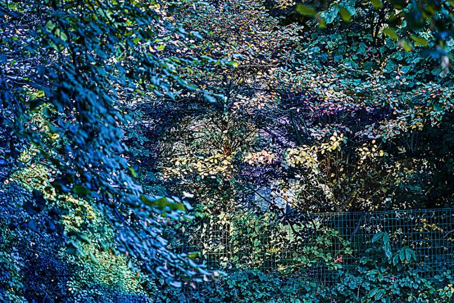 Hélène Hubert, Leafy lady Hélène Hubert, Leafy lady