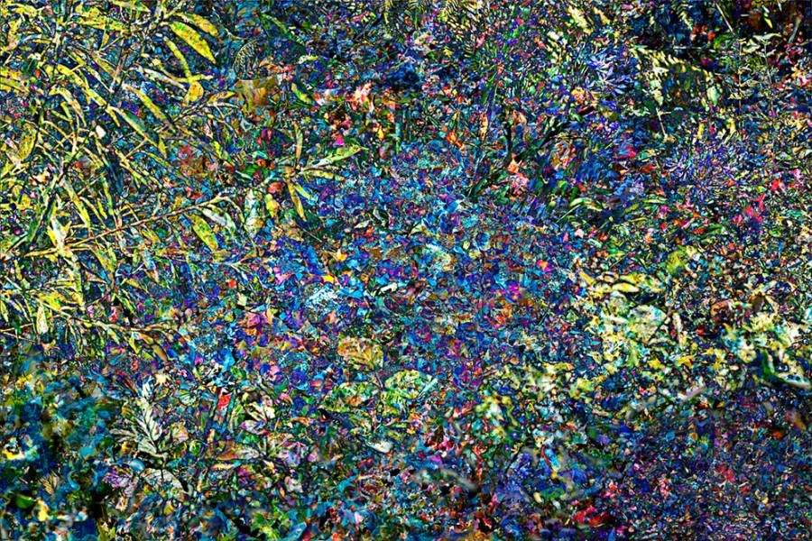 Hélène Hubert, Jungle Hélène Hubert, Jungle