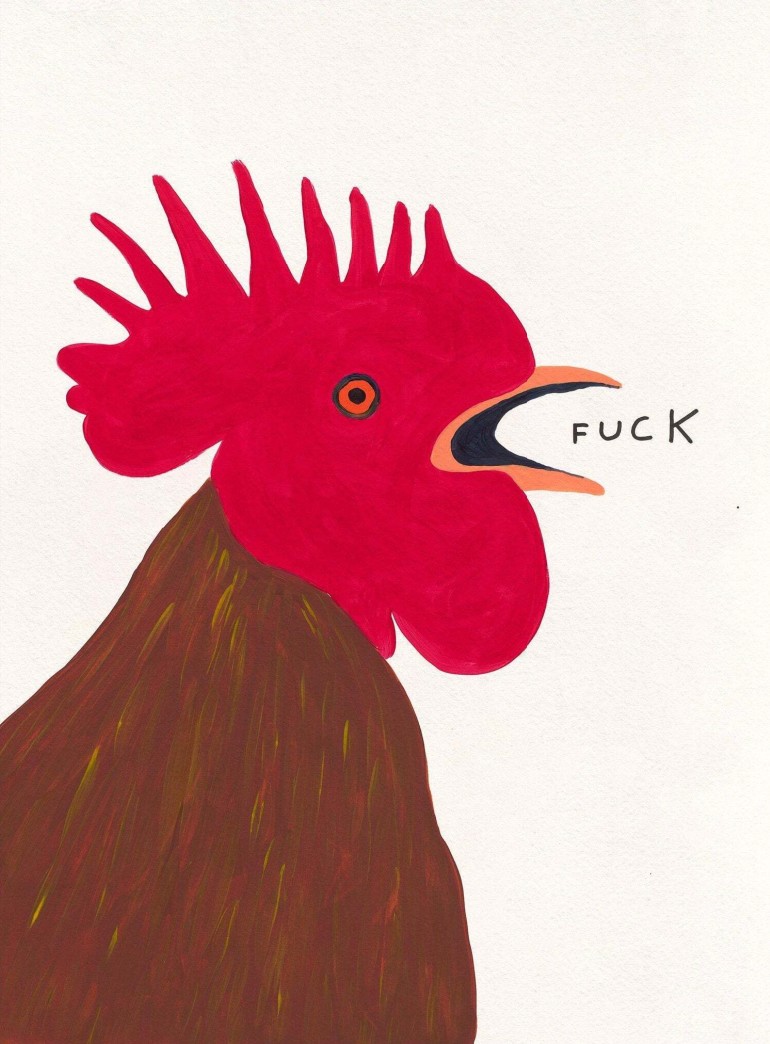 David Shrigley, Fuck David Shrigley, Fuck