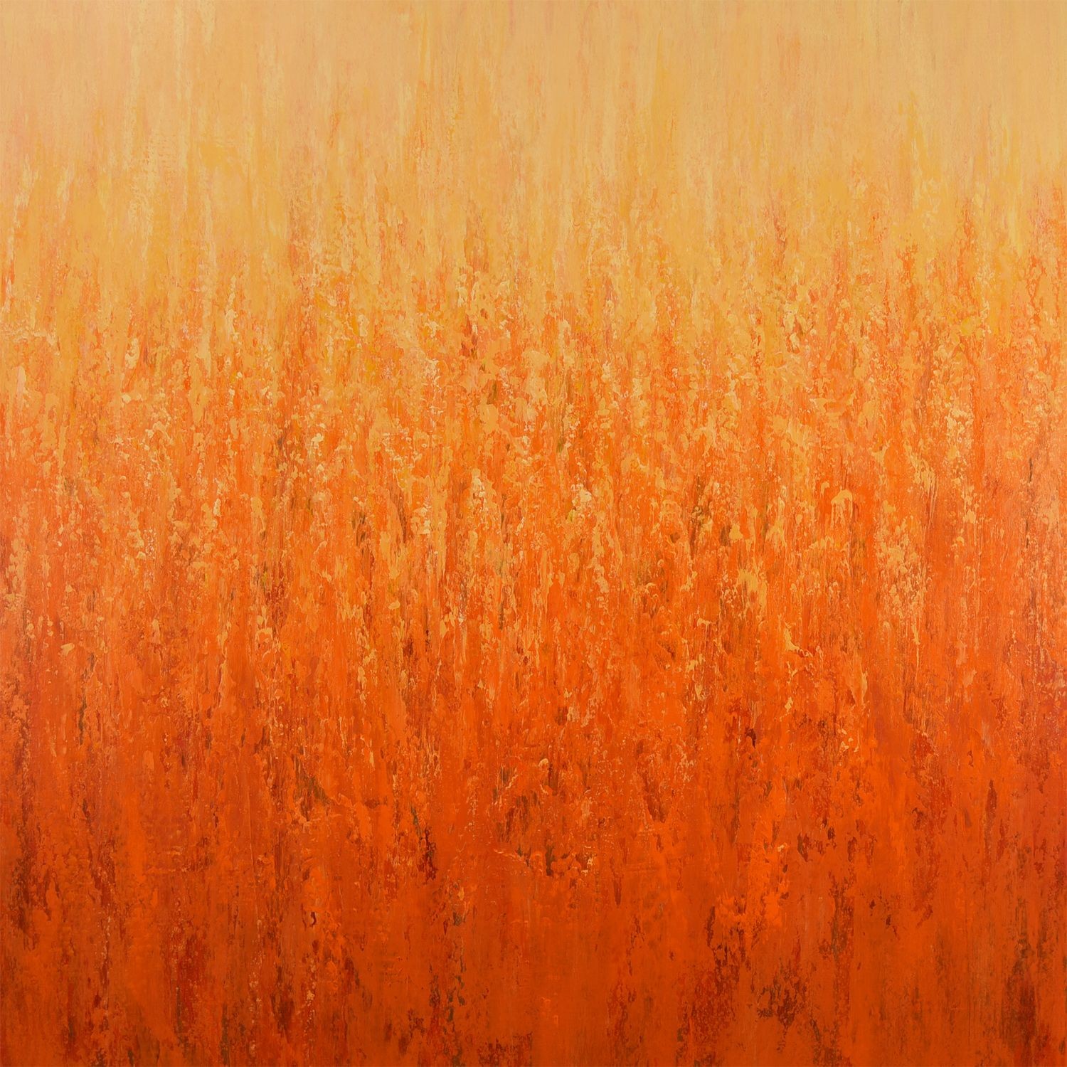 Suzanne Vaughan, Vibrant Light Suzanne Vaughan, Vibrant Light