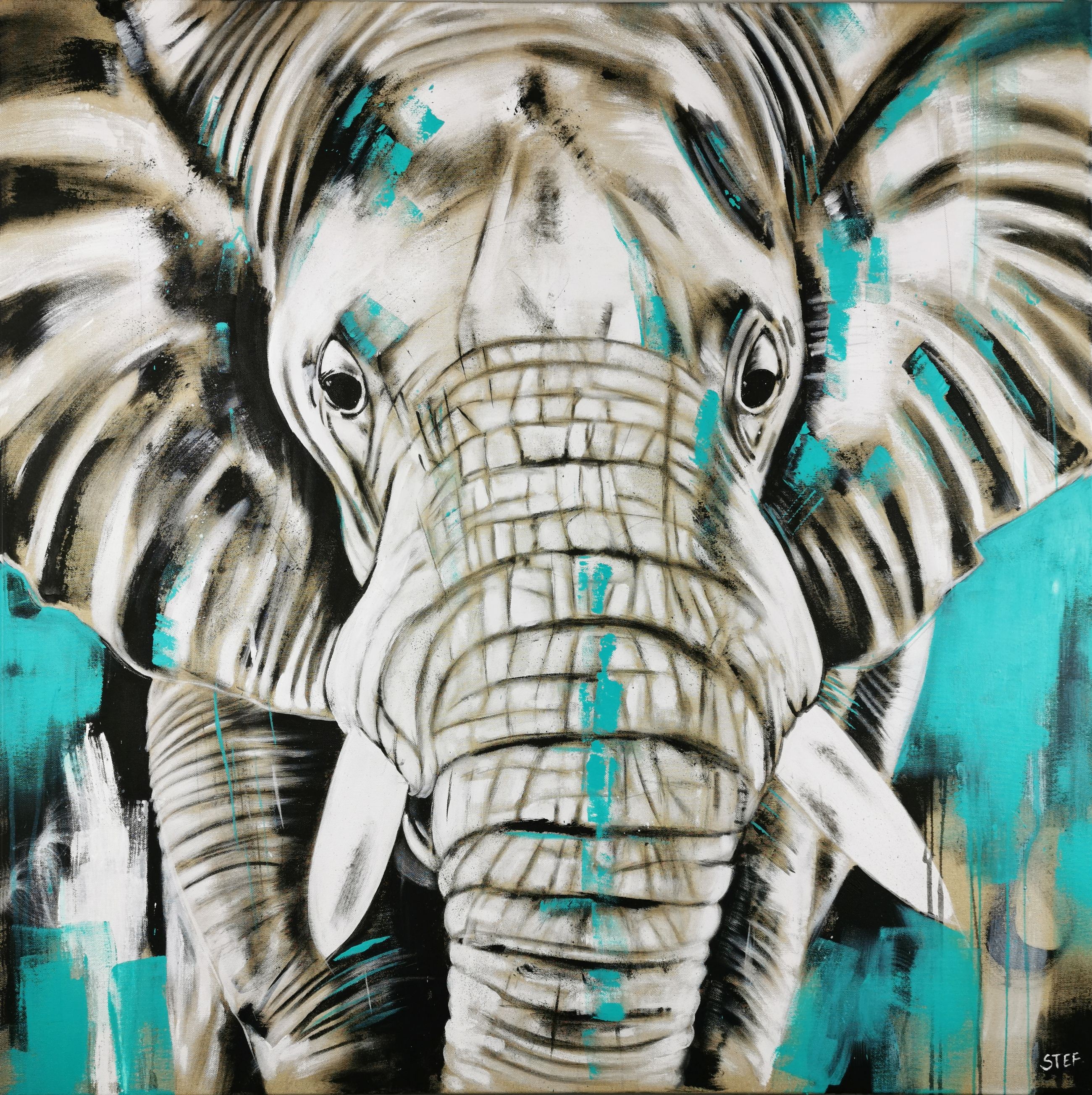 Stefanie Rogge, Elephant #24 - Stefanie Rogge, Elephant #24 -
