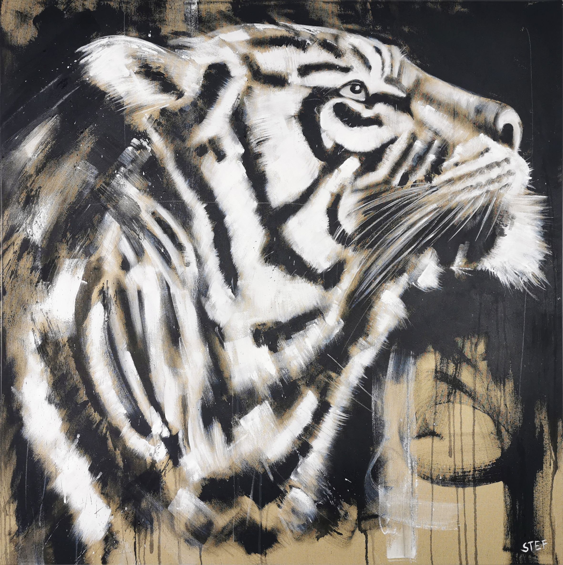 Stefanie Rogge, Tiger #8 - Big Cat Stefanie Rogge, Tiger #8 - Big Cat