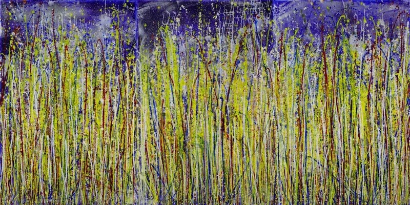 Nestor Toro, Sequel of a dream 3 (Starry night) Nestor Toro, Sequel of a dream 3 (Starry night)
