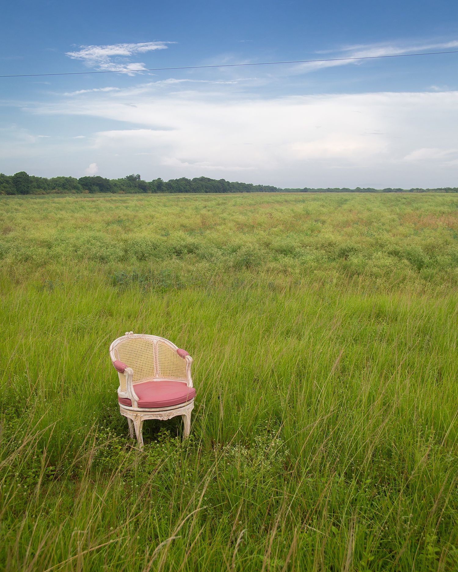 Michael Filonow, The Chair Michael Filonow, The Chair