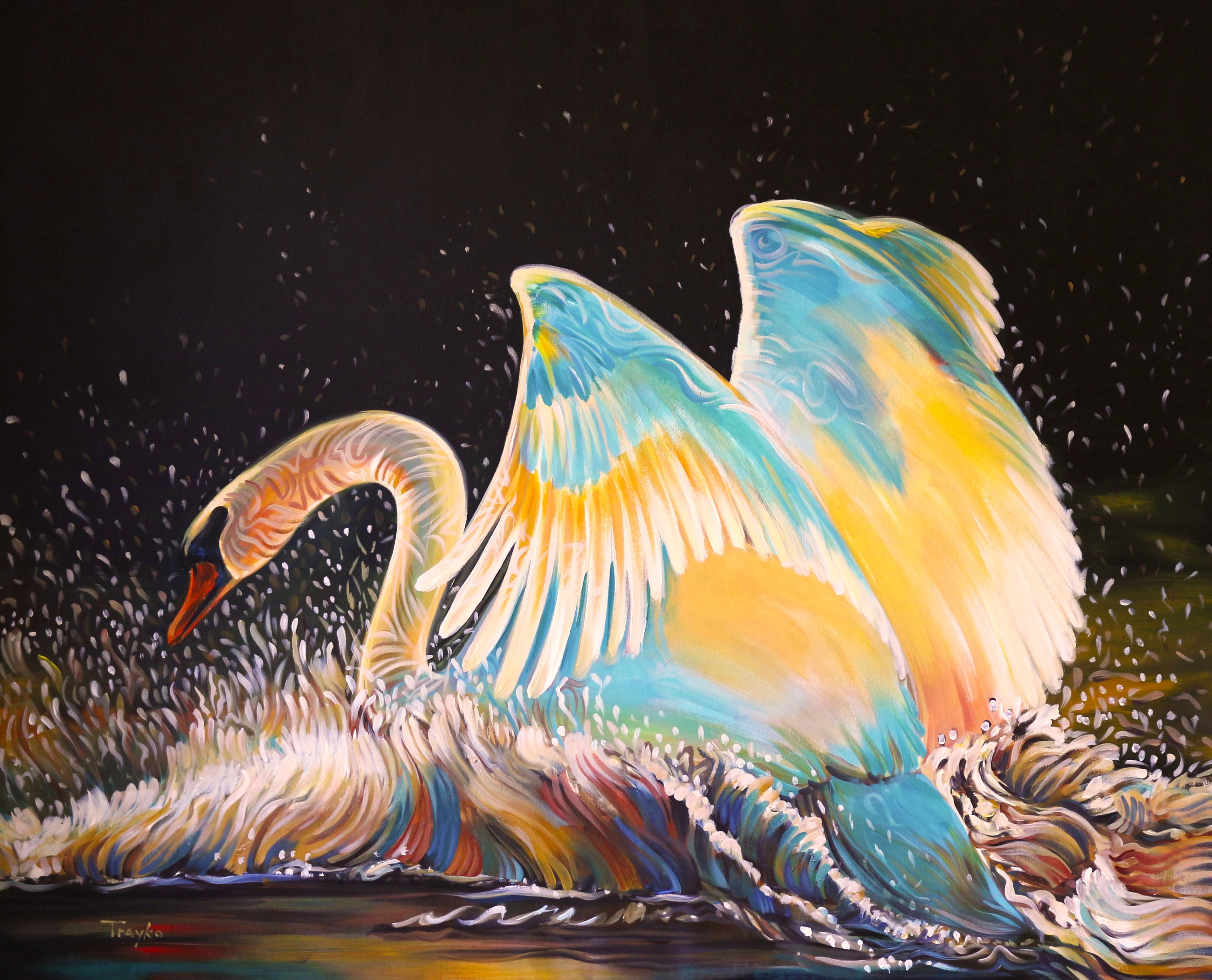 Trayko Popov, Magical bird Trayko Popov, Magical bird