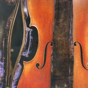 Photography, Violoncelle, Thierry des Ouches