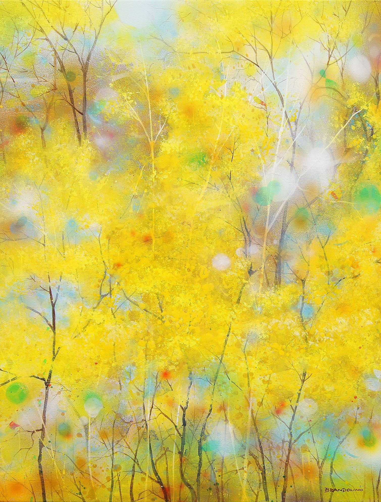 Ray Brandolino, Yellow breeze Ray Brandolino, Yellow breeze