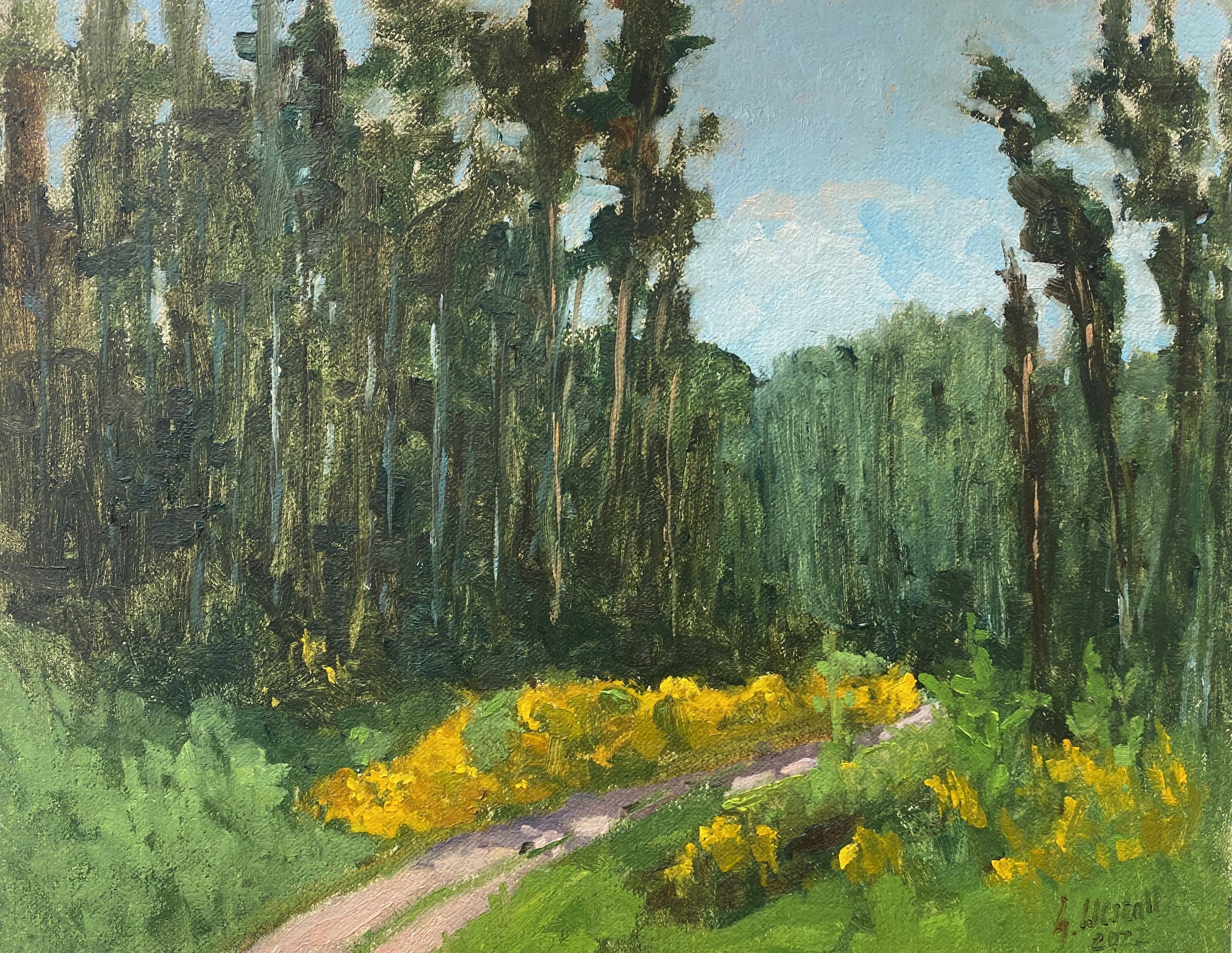 Gary Westall, Gorse eye-catcher Gary Westall, Gorse eye-catcher