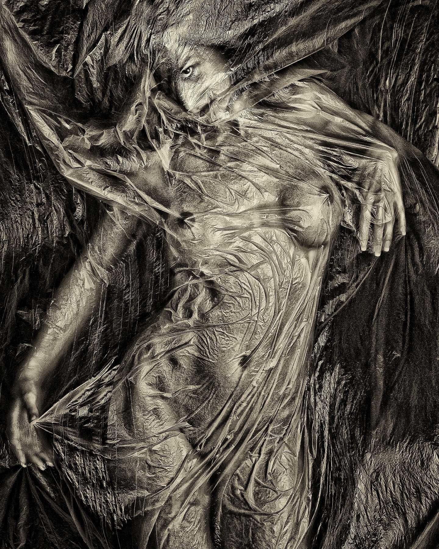 Rudolf B Pekar, The shroud Rudolf B Pekar, The shroud