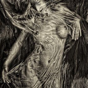 Photographie, The shroud, Rudolf B Pekar