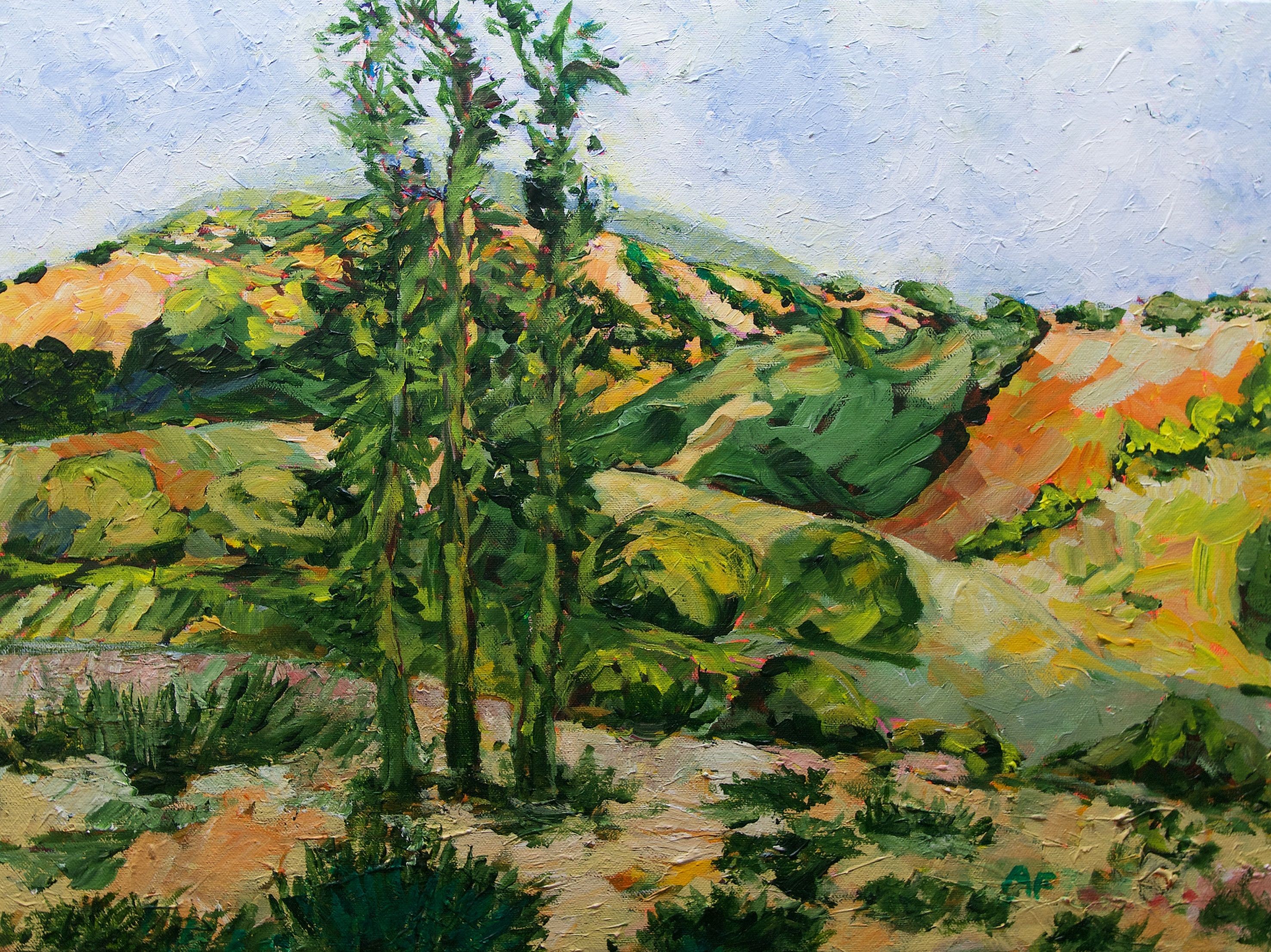 Allan P Friedlander, Top of the hill Allan P Friedlander, Top of the hill