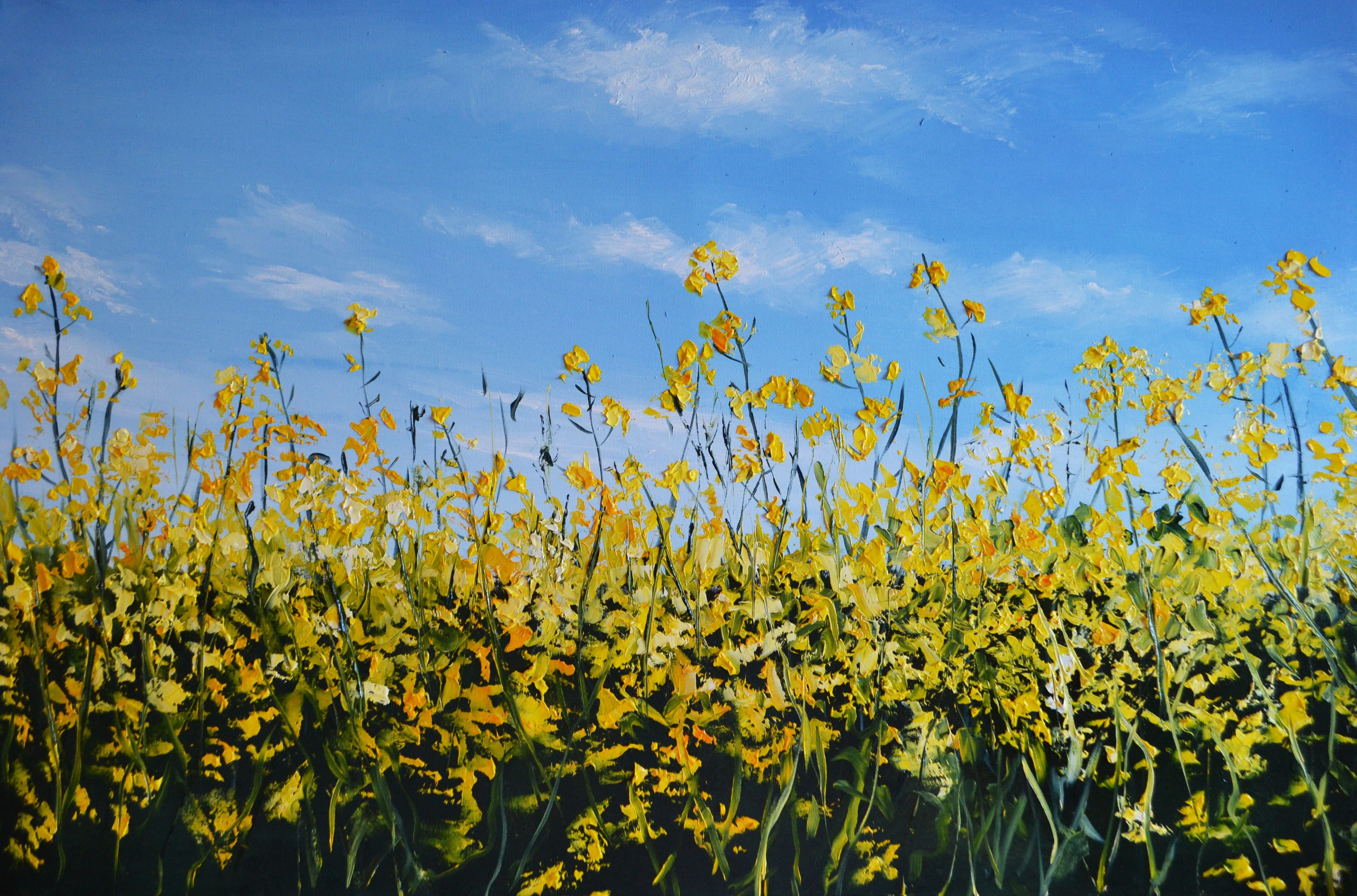 Valeria Radzievska, Canola field in Ukraine Valeria Radzievska, Canola field in Ukraine