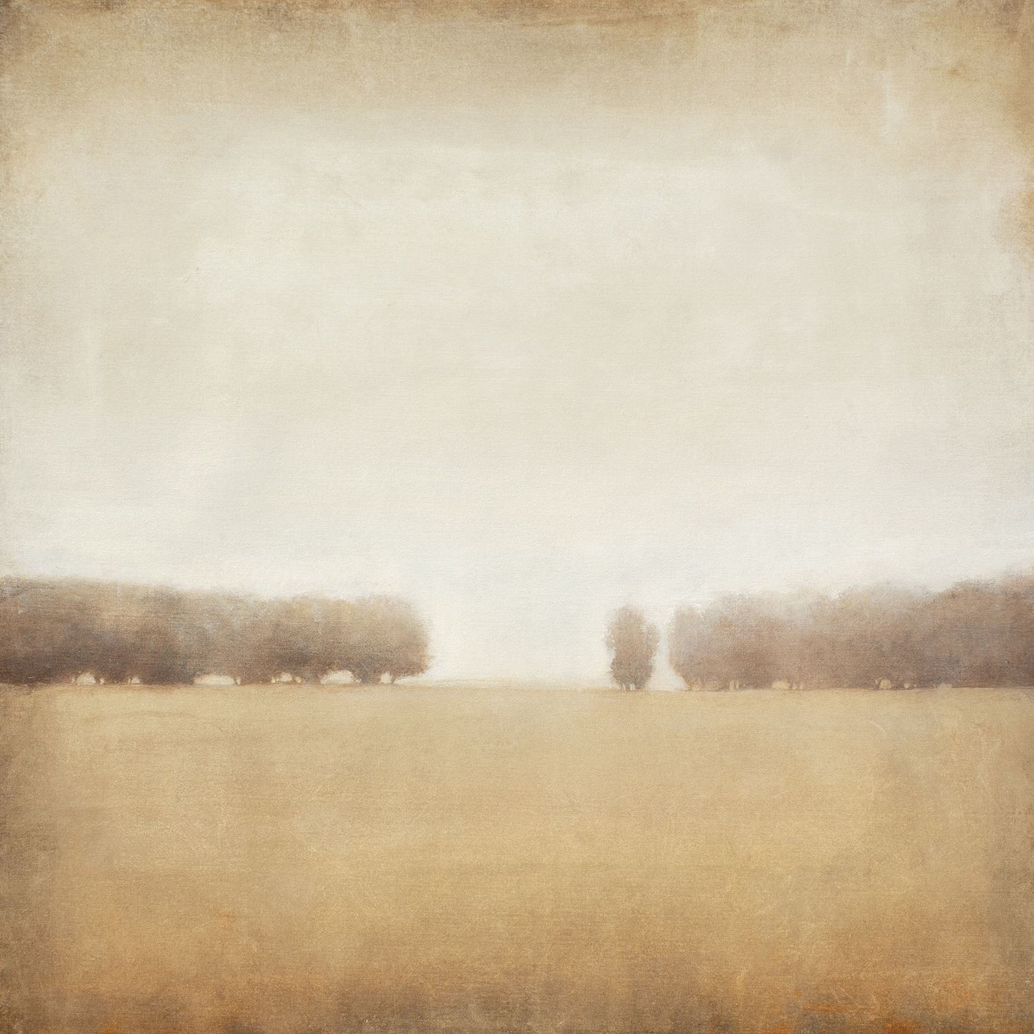 Don Bishop, Field and trees 220316 Don Bishop, Field and trees 220316
