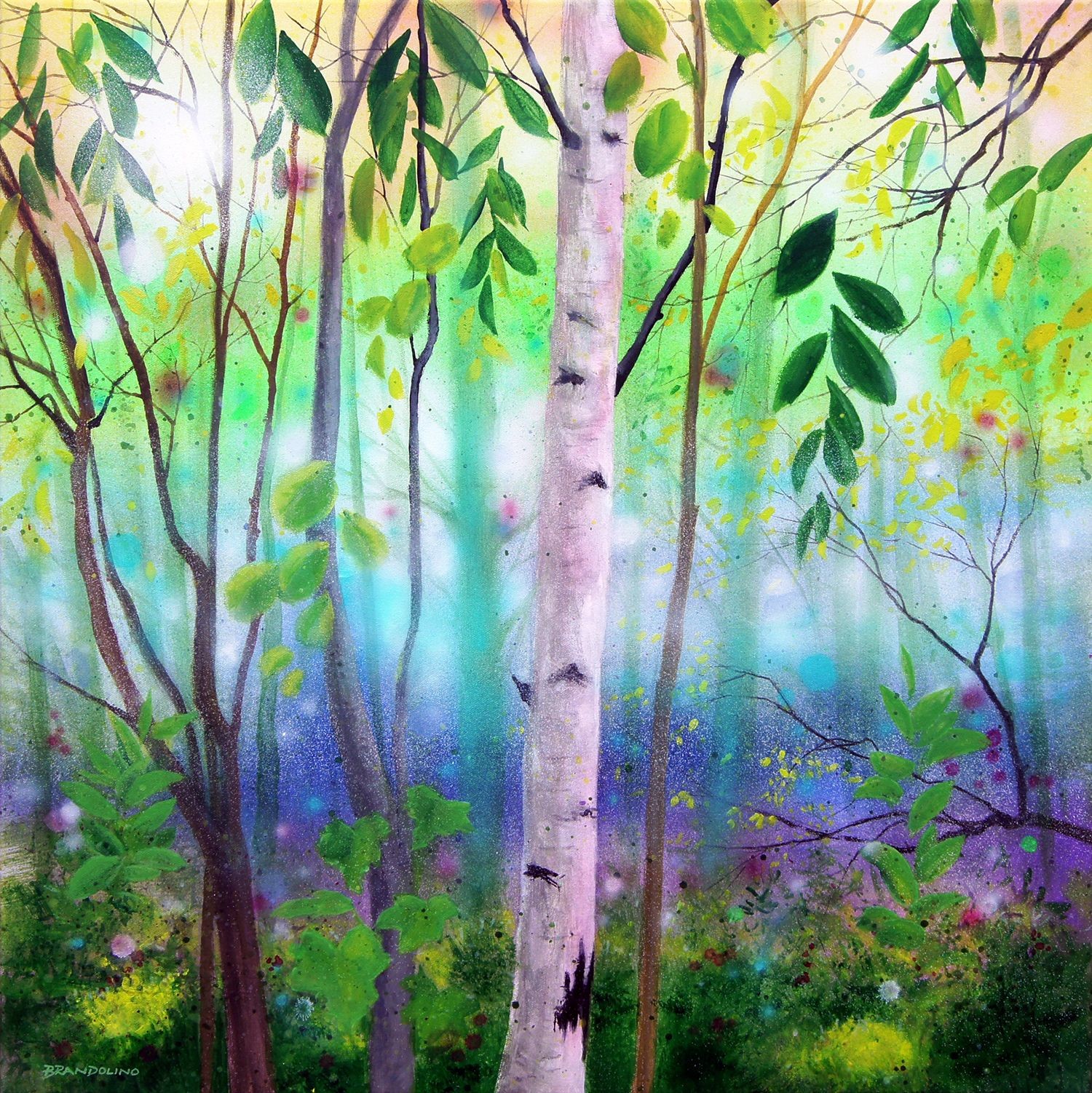 Ray Brandolino, Forest light Ray Brandolino, Forest light