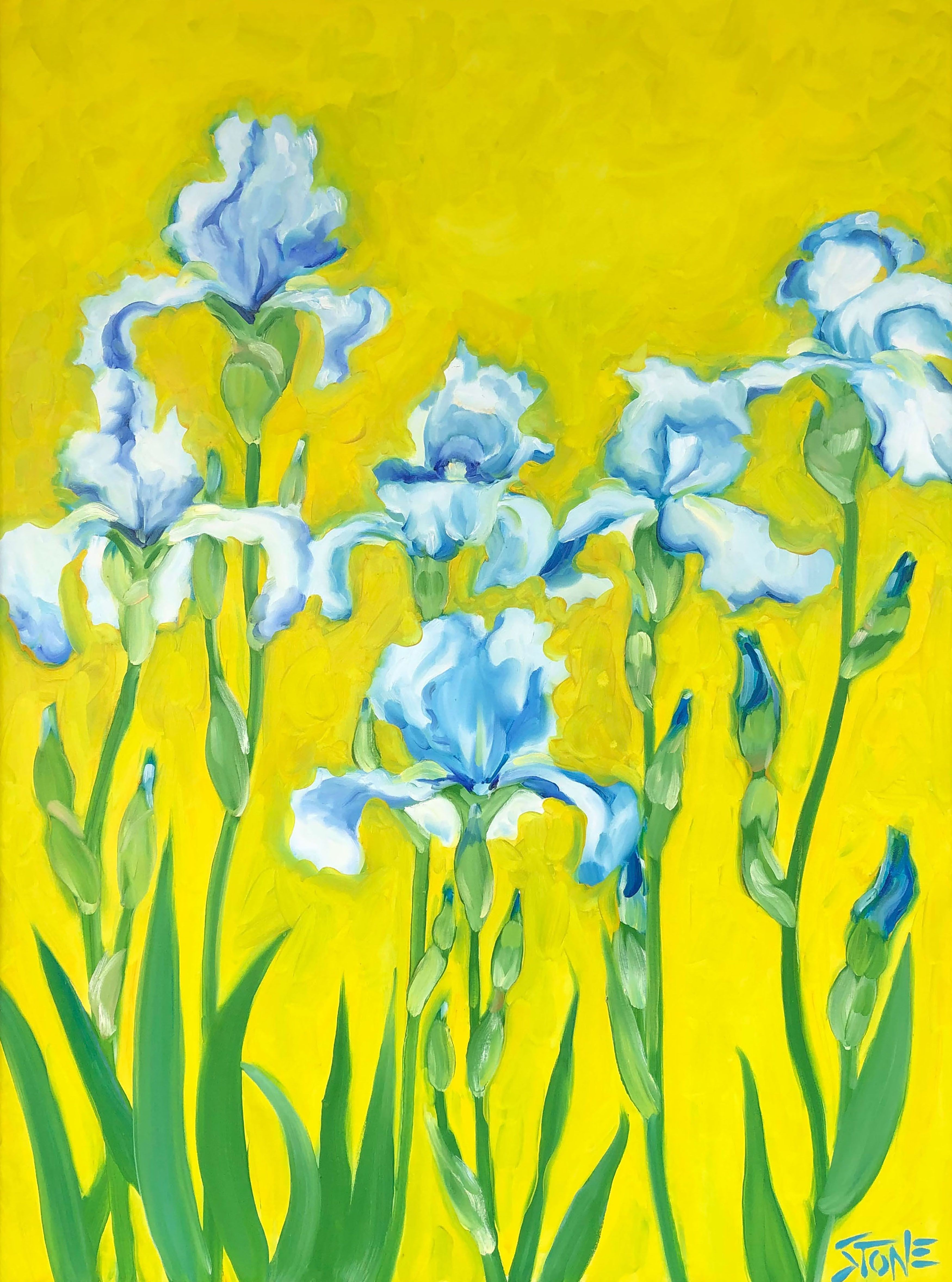 Bill Stone, Six blue iris Bill Stone, Six blue iris