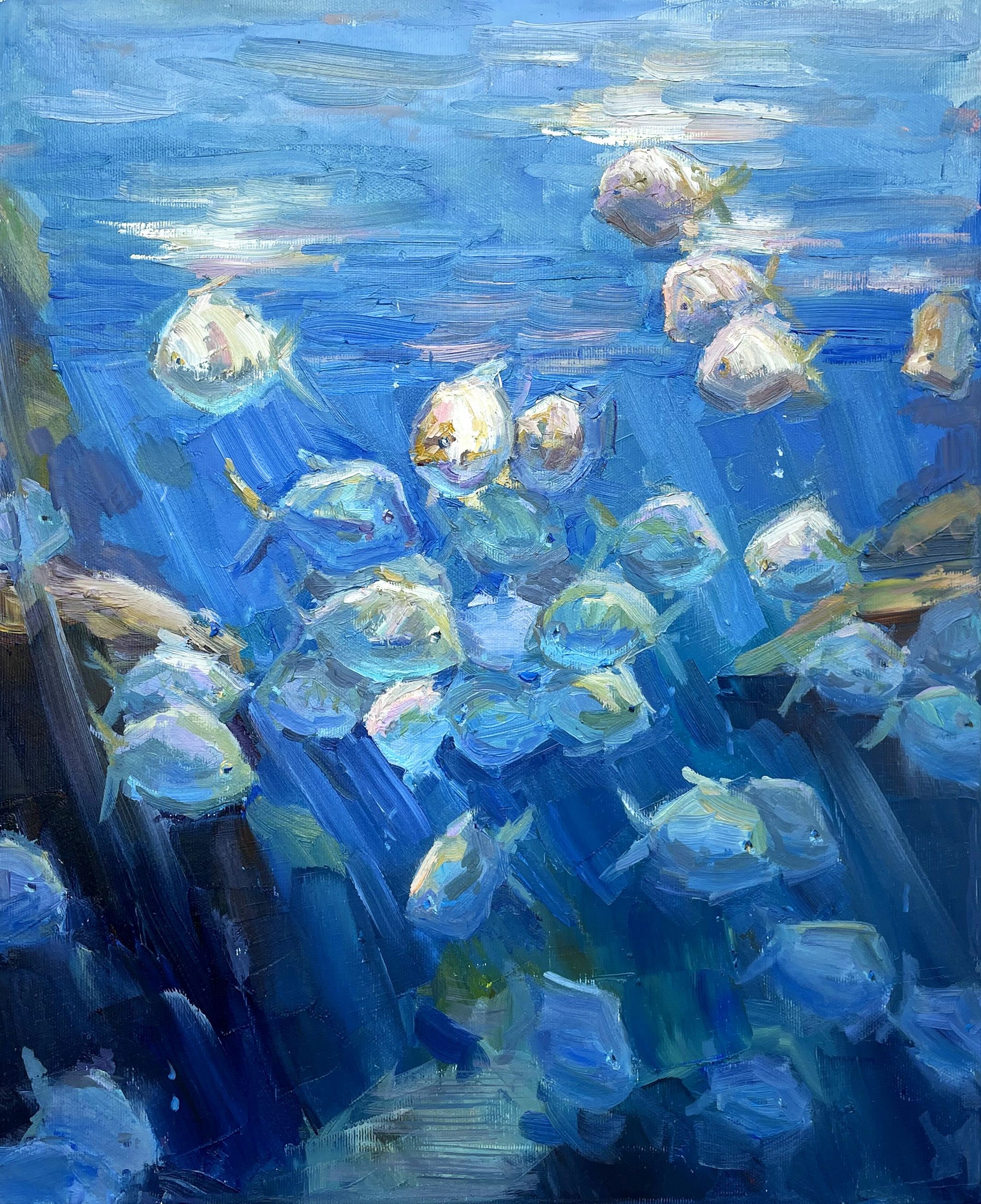 Evgeny Chernyakovsky, Aquarium Evgeny Chernyakovsky, Aquarium