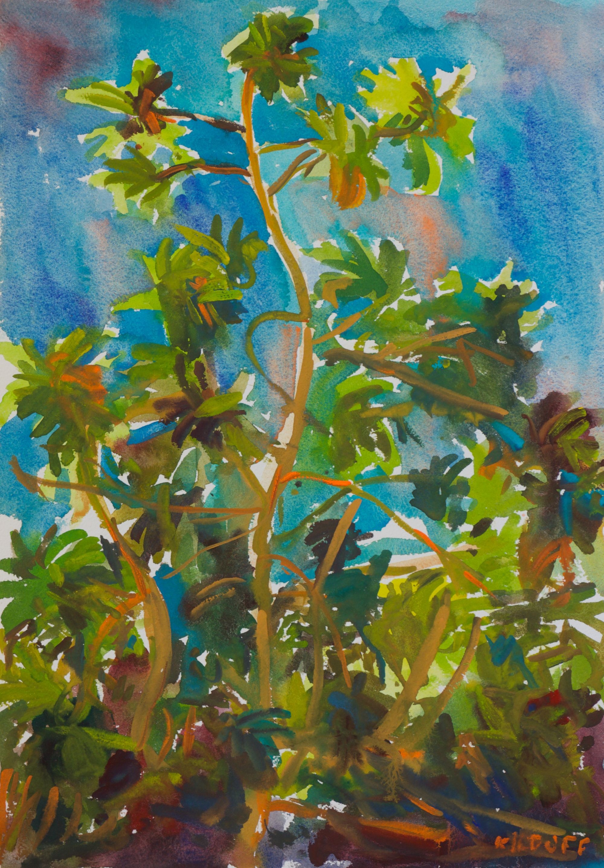 John Kilduff, Panapen Tree John Kilduff, Panapen Tree