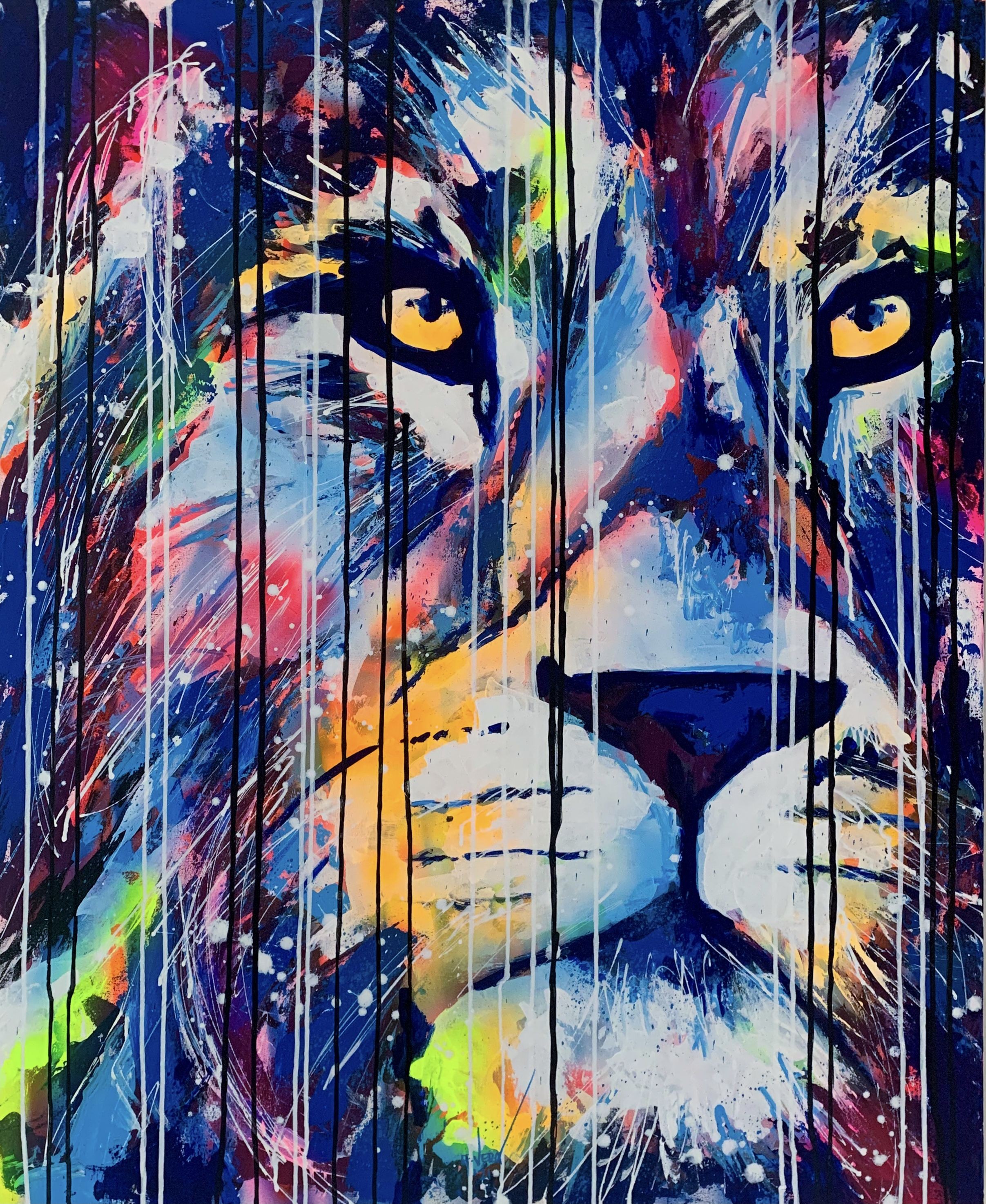 Esteban Vera, Lion king Esteban Vera, Lion king
