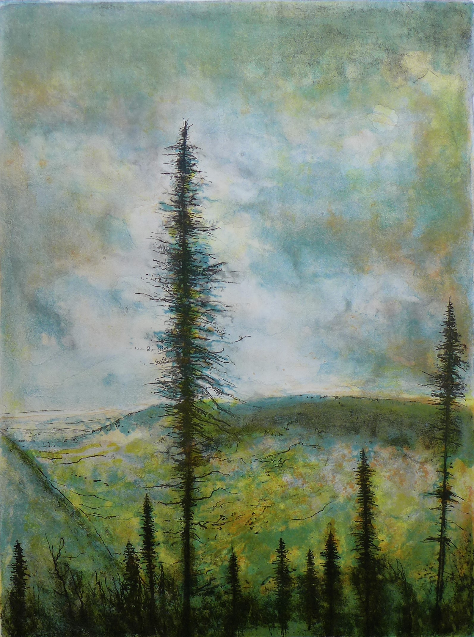 Bernard Gantner, A travers les sapins Bernard Gantner, A travers les sapins