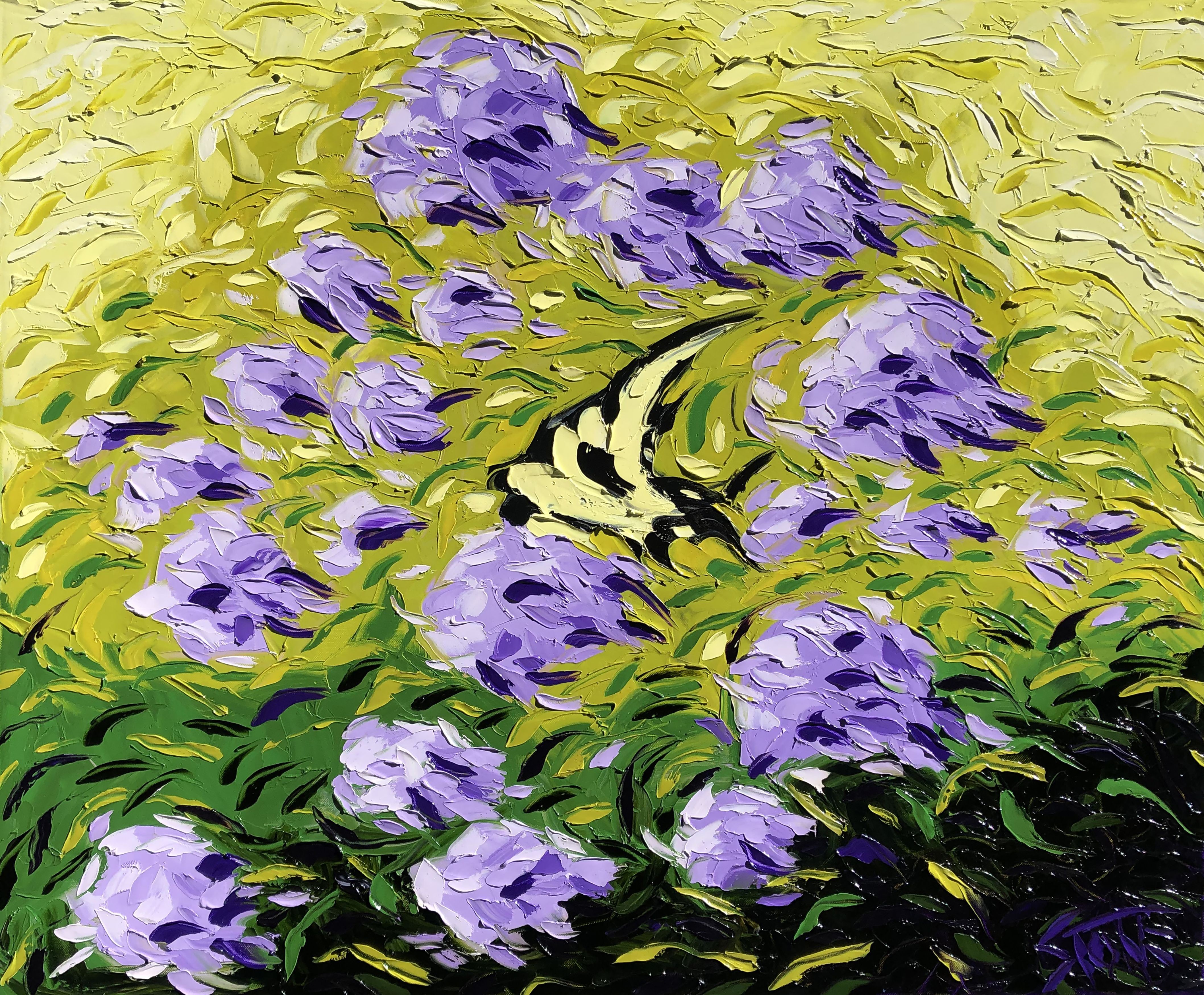 Bill Stone, Papillon Bill Stone, Papillon