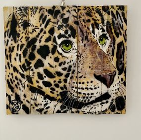 Mosko, Zoom sur Jaguar Mosko, Zoom sur Jaguar