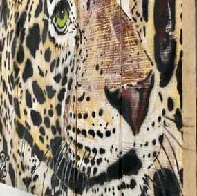 Mosko, Zoom sur Jaguar Mosko, Zoom sur Jaguar