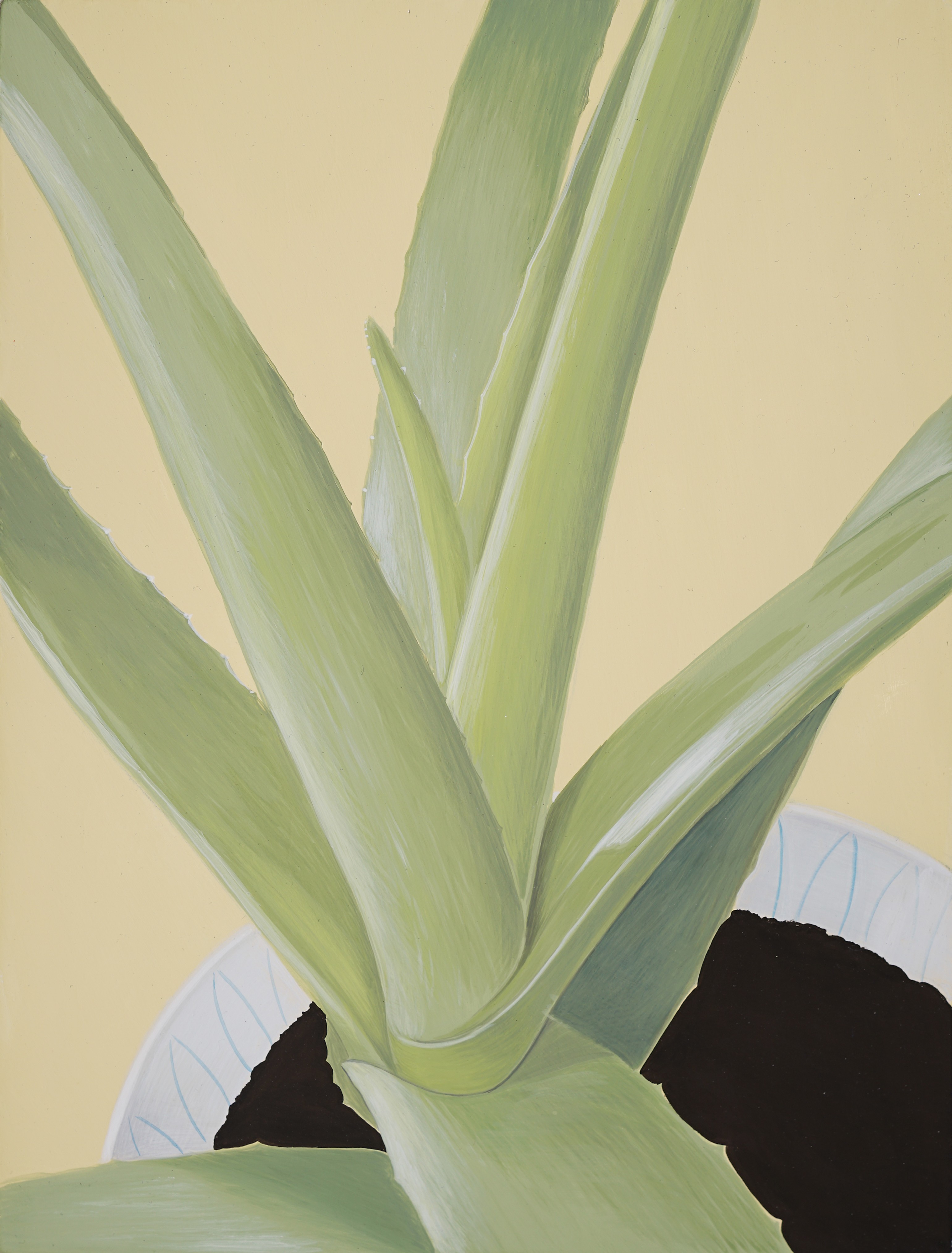 Lyuben Domozetski, Plant in a Pot Lyuben Domozetski, Plant in a Pot