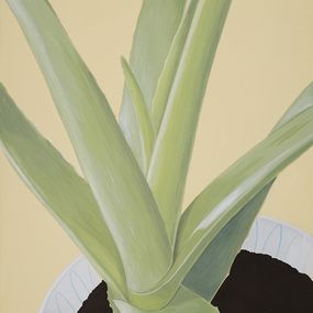 Gemälde, Plant in a Pot, Lyuben Domozetski