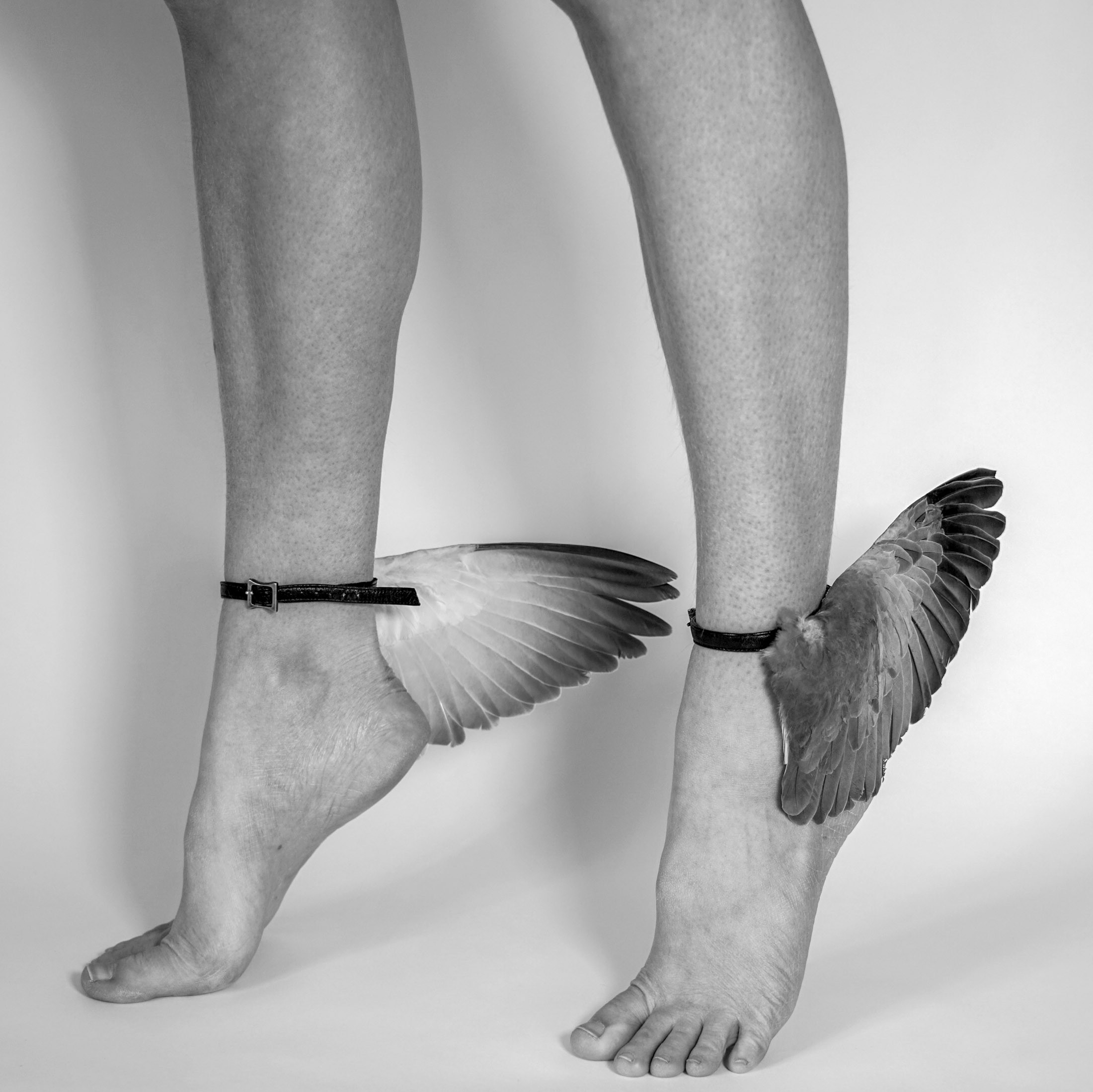 Wings Temporary Tattoos (Set of 3+3) – Small Tattoos