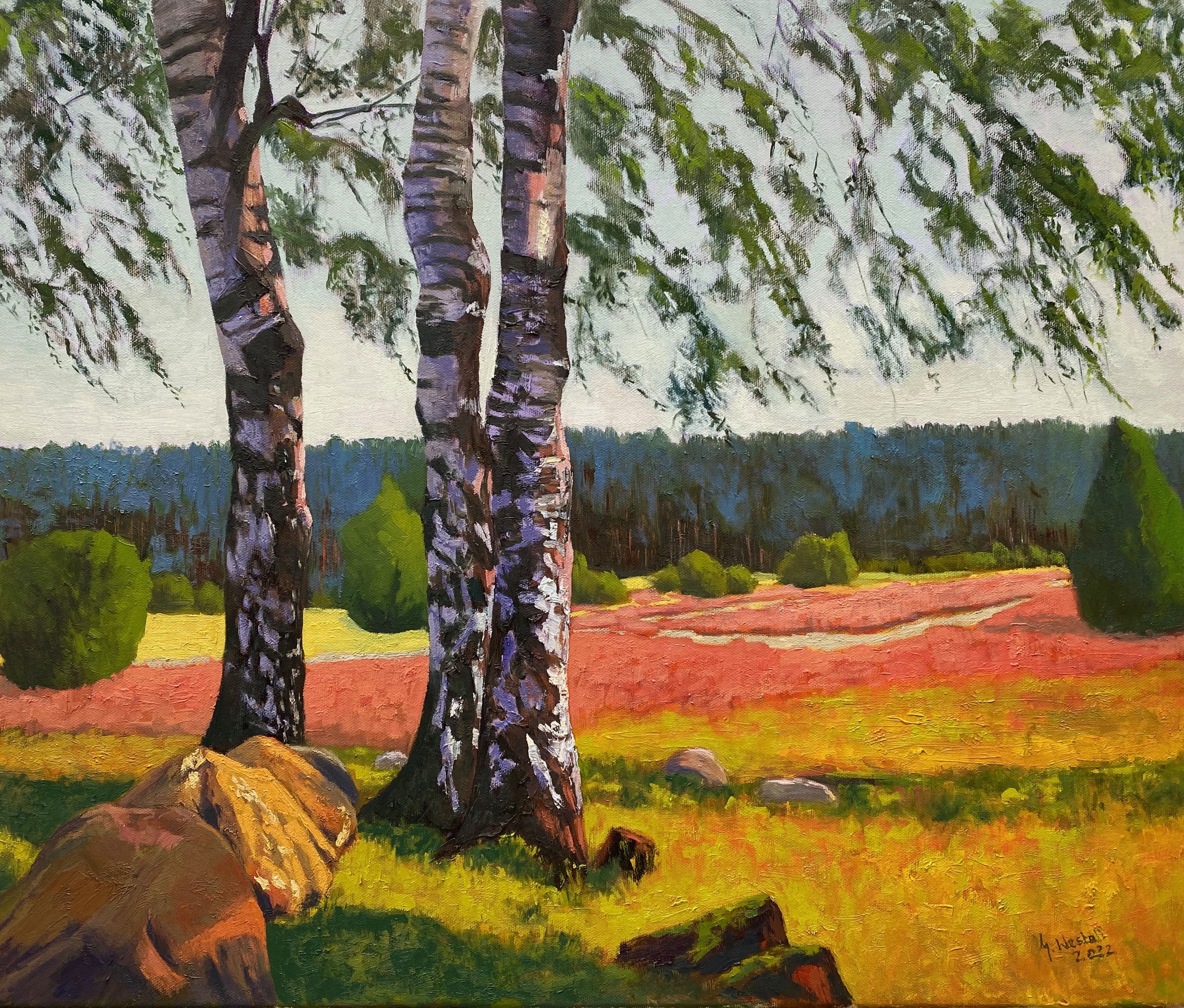 Gary Westall, Sunbathing Boulders in the Ellendorfer Heide Gary Westall, Sunbathing Boulders in the Ellendorfer Heide
