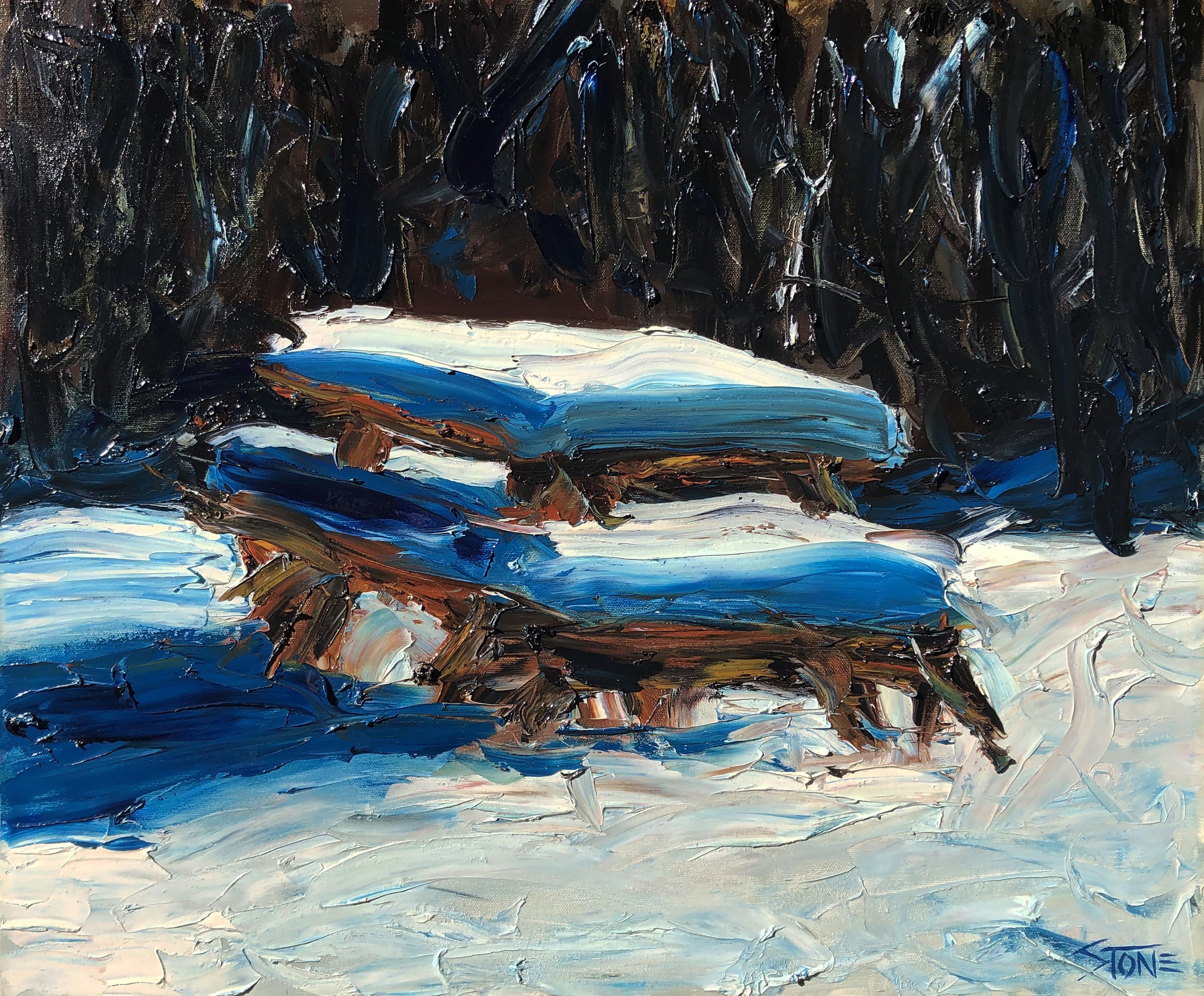 Bill Stone, Snow picnic Bill Stone, Snow picnic