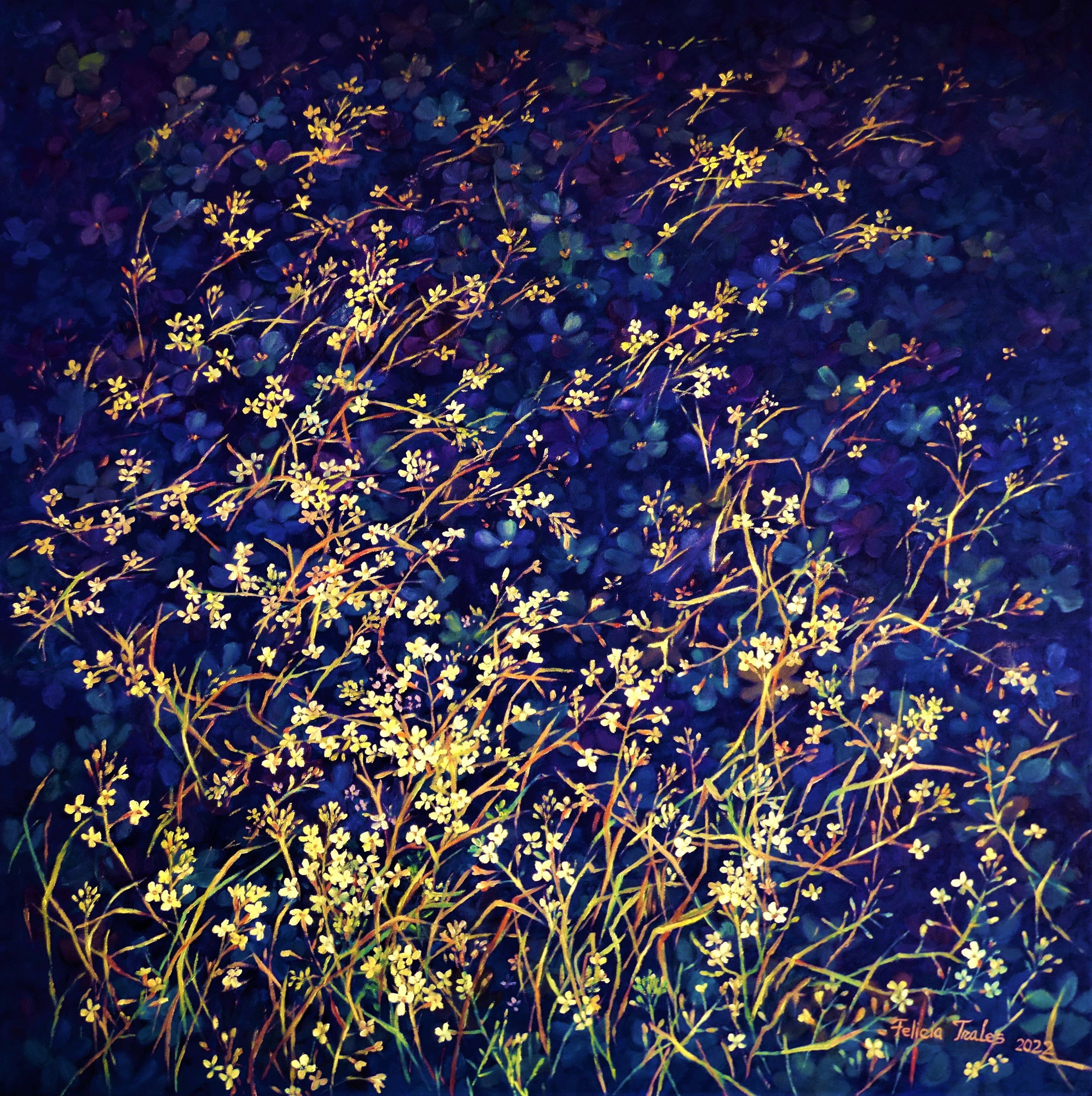 Felicia Trales, Lights on deep blue Felicia Trales, Lights on deep blue