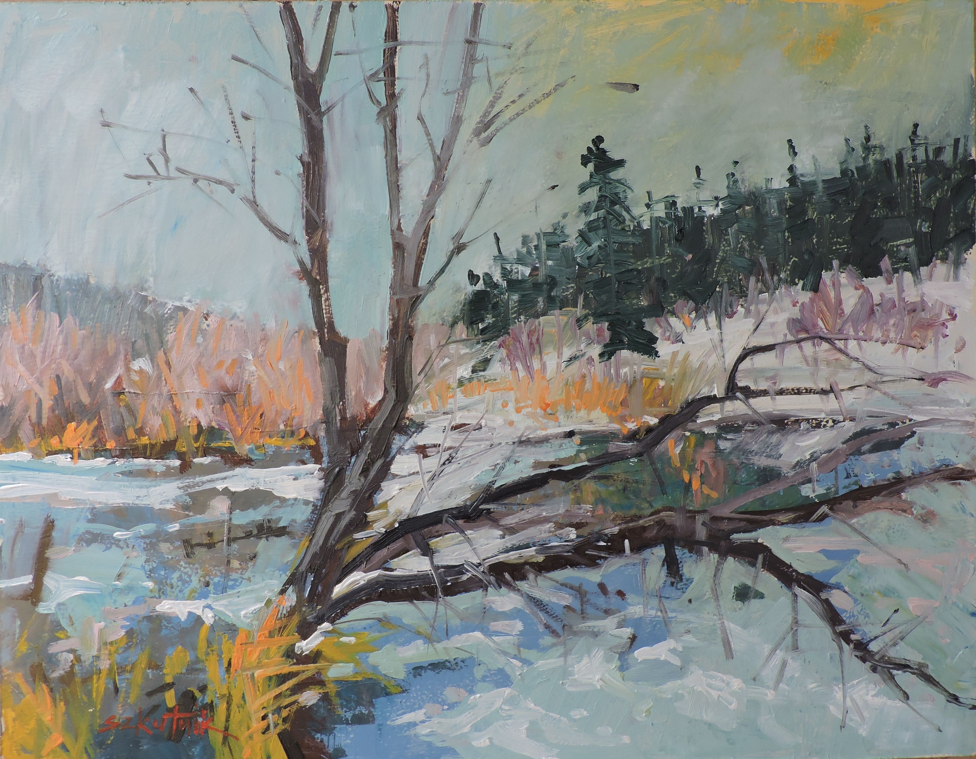 Richard Szkutnik, Frozen Stream Richard Szkutnik, Frozen Stream