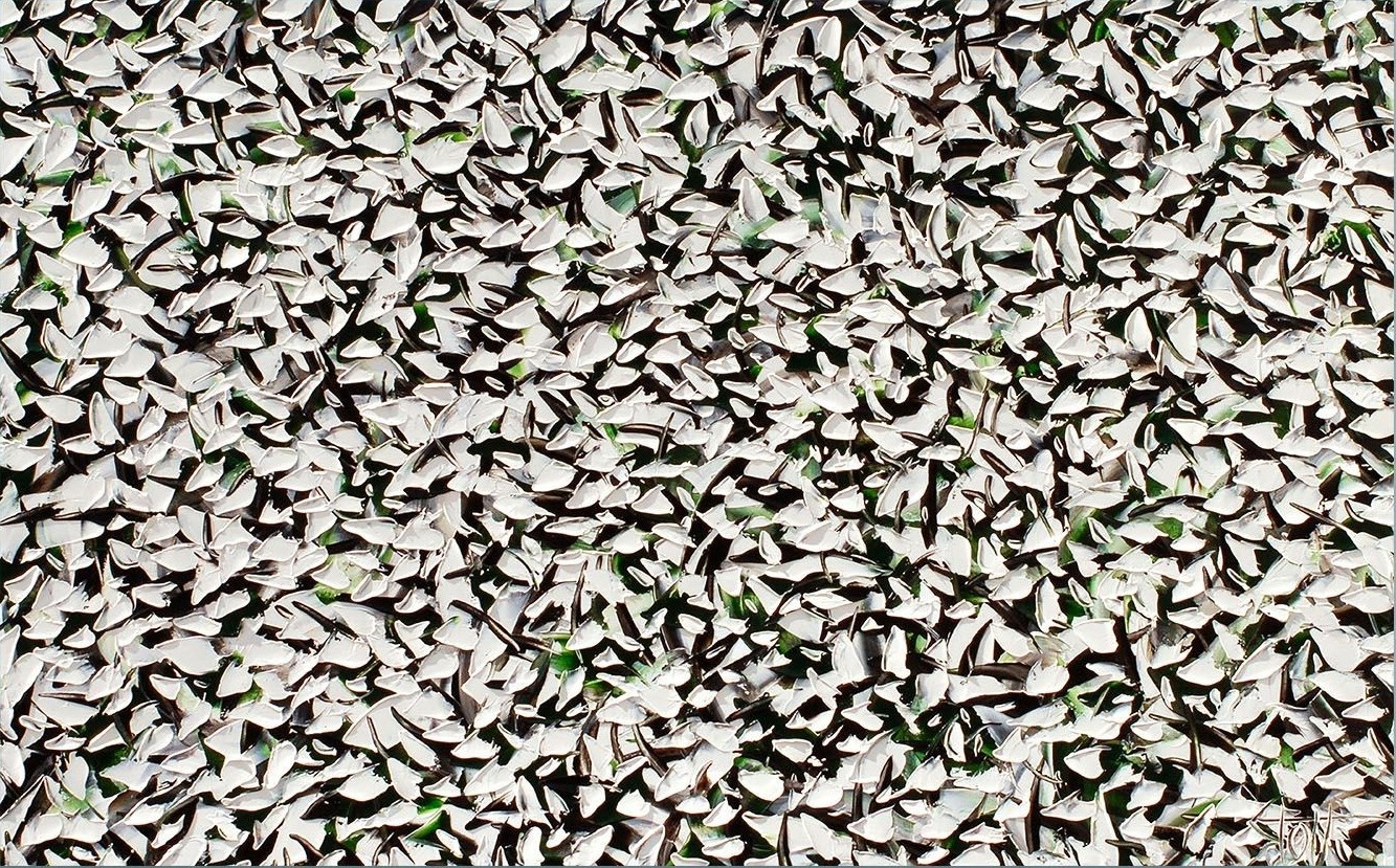 Bill Stone, Flakes Bill Stone, Flakes