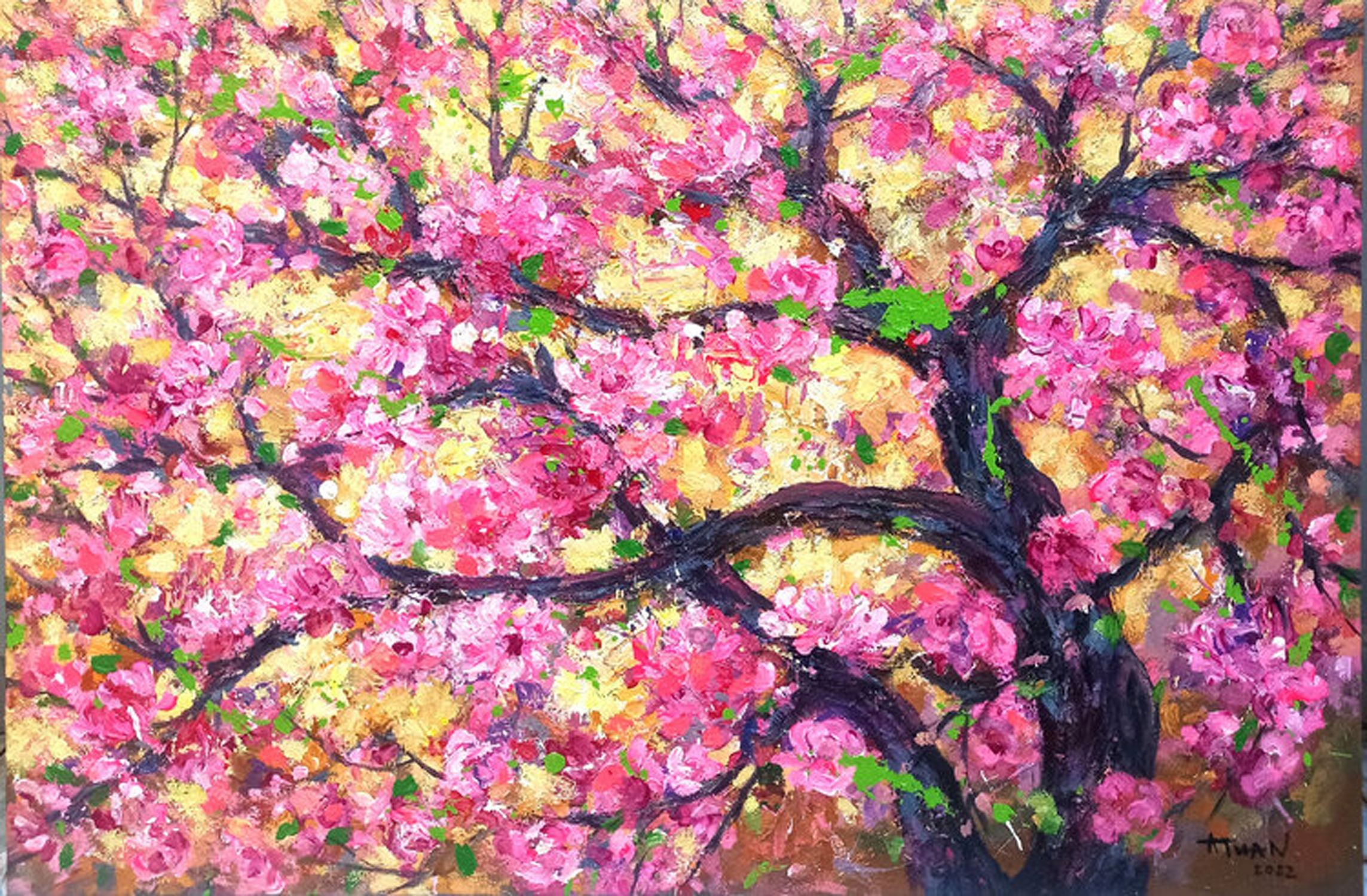 Le anh Tuan, Peach blossoms bloom in spring Le anh Tuan, Peach blossoms bloom in spring
