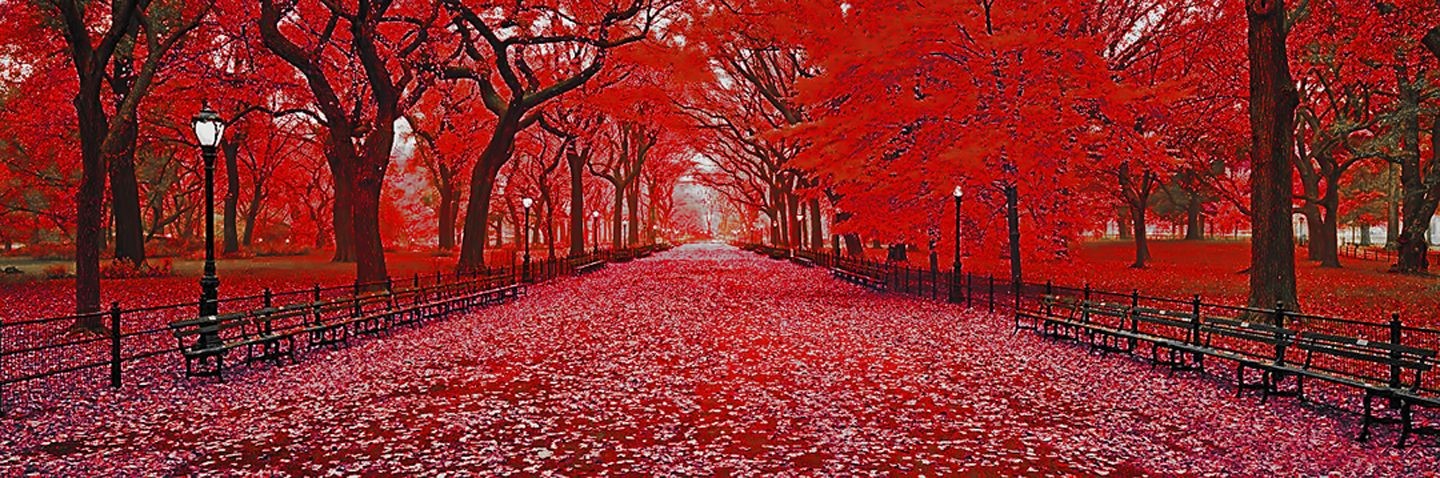 Jochen Cerny, NYC - Central Park I Jochen Cerny, NYC - Central Park I
