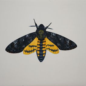 African Death’s Head Hawkmoth – Acherontia Atropos, Lyuben Domozetski