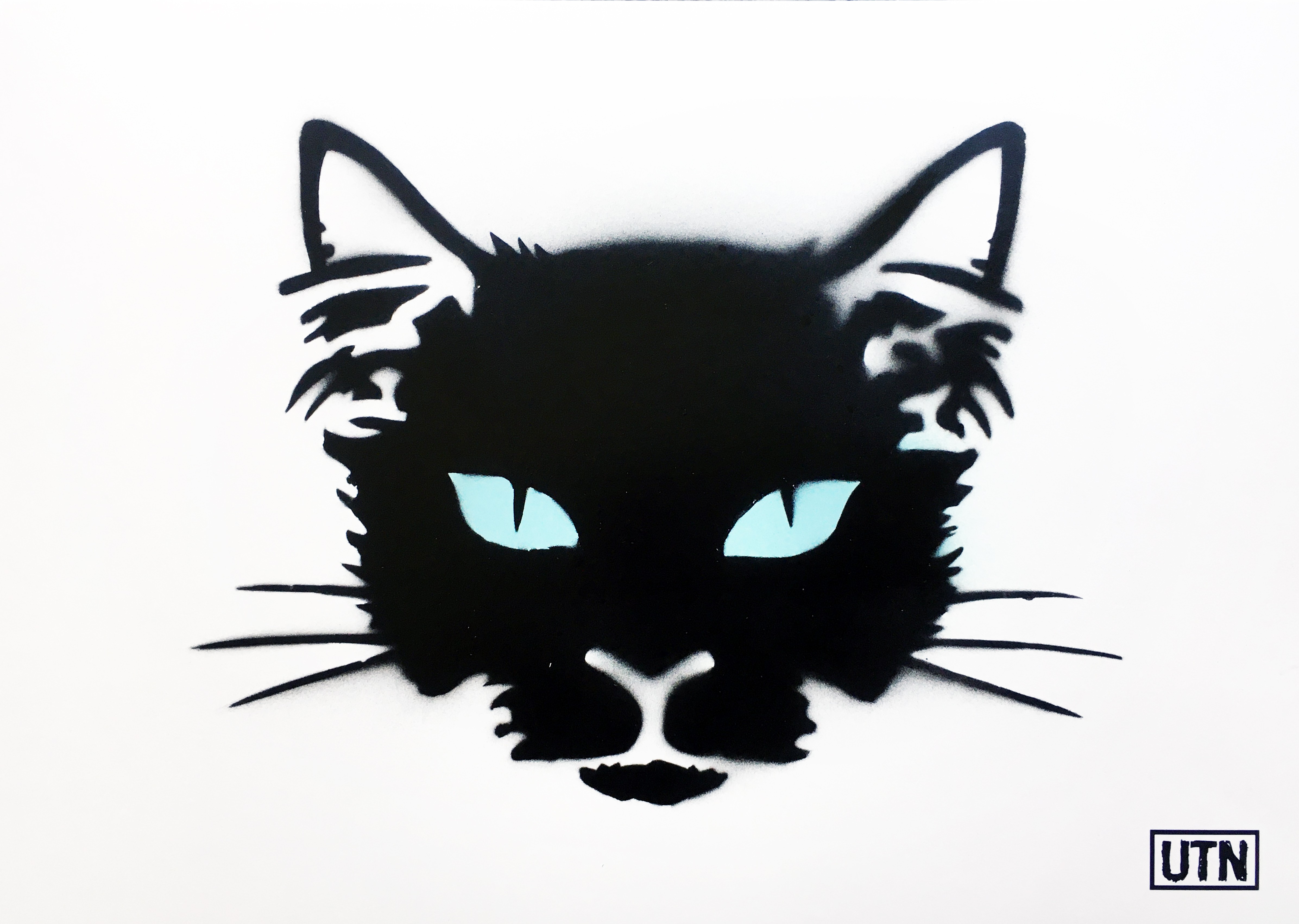 UTN, Cat with sky blue eyes UTN, Cat with sky blue eyes