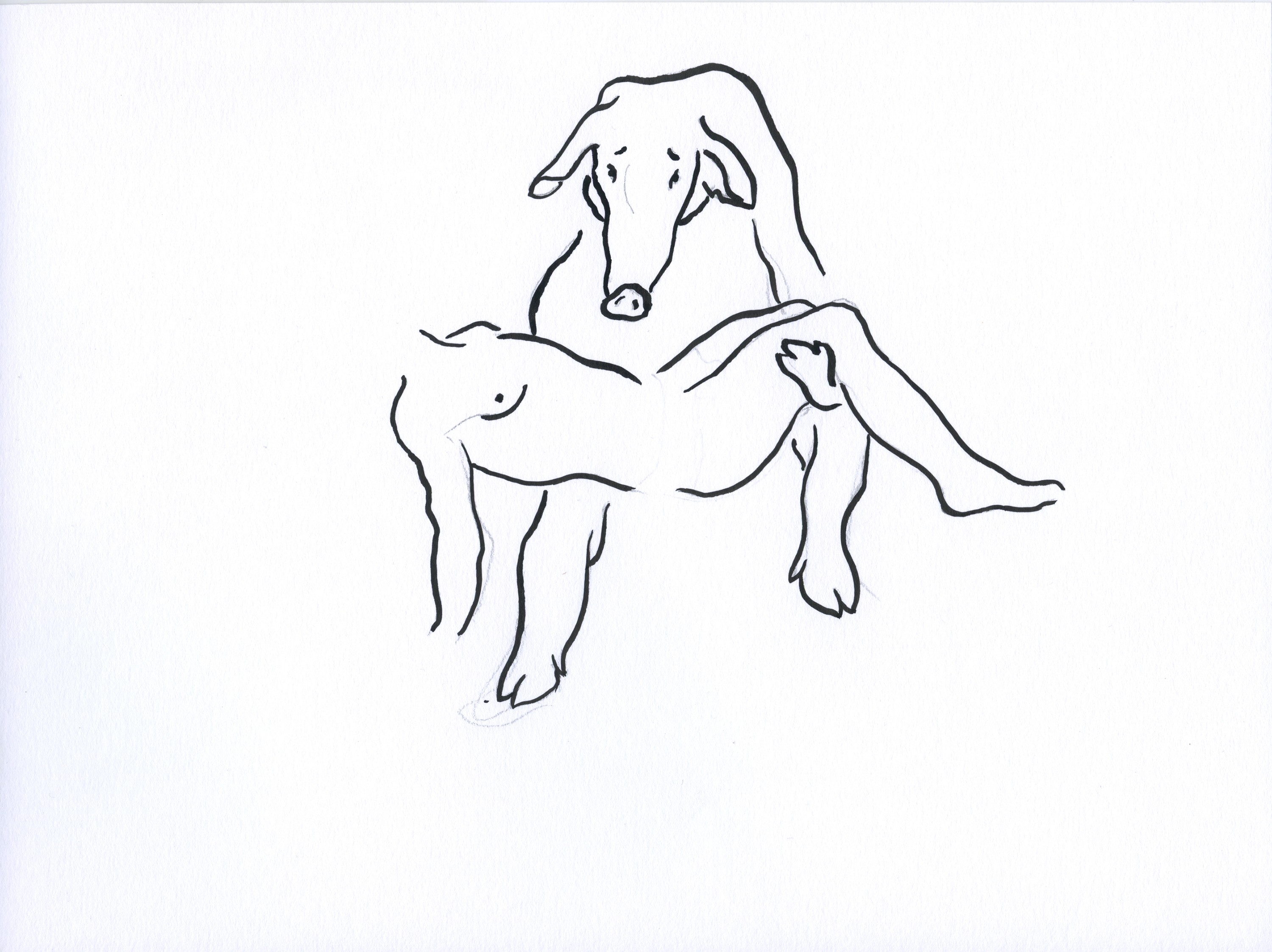 Nevelin Ivanov, If I had a pig, I would name it Nevo 8 Nevelin Ivanov, If I had a pig, I would name it Nevo 8
