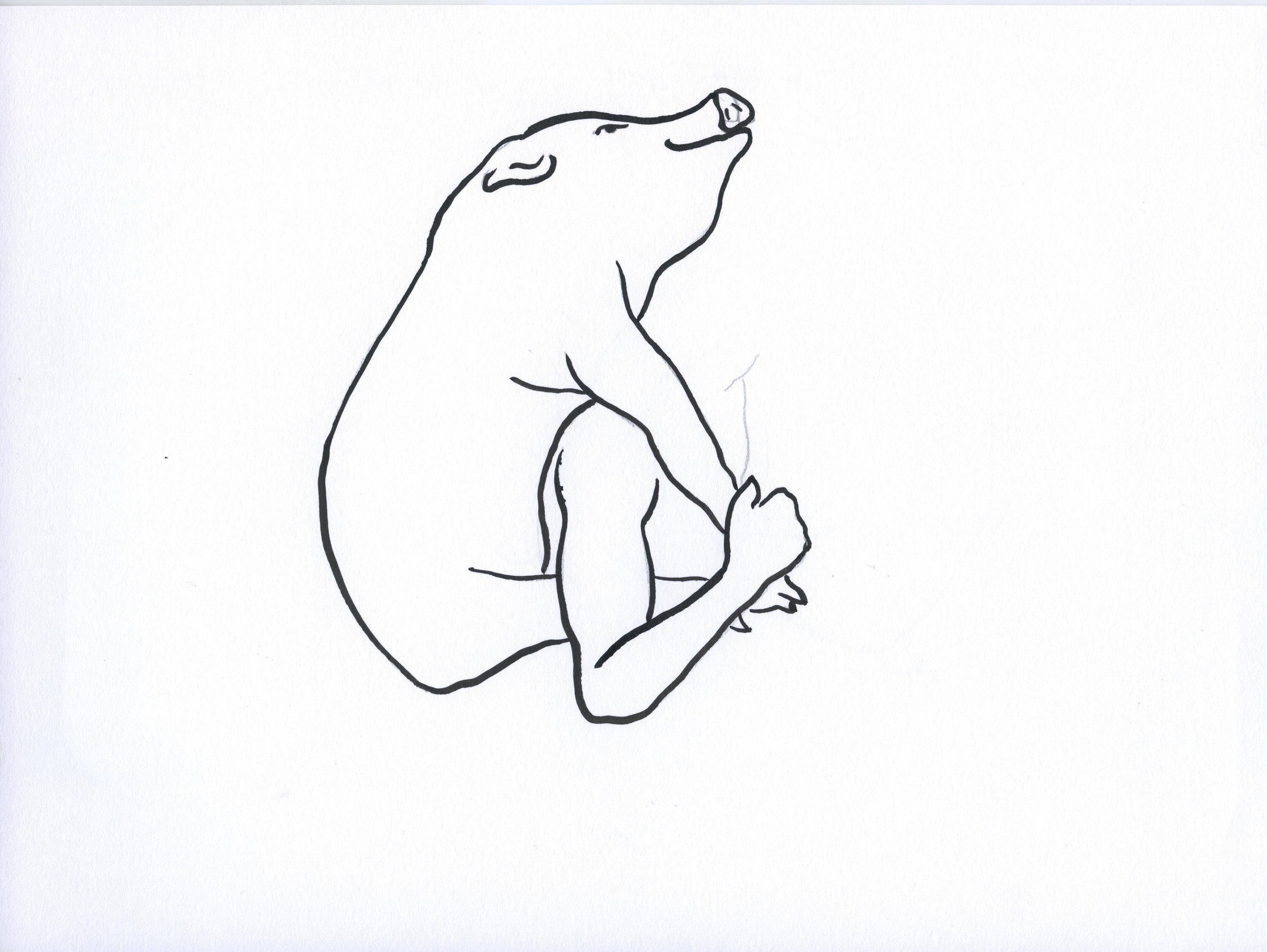 Nevelin Ivanov, If I had a pig, I would name it Nevo 12 Nevelin Ivanov, If I had a pig, I would name it Nevo 12