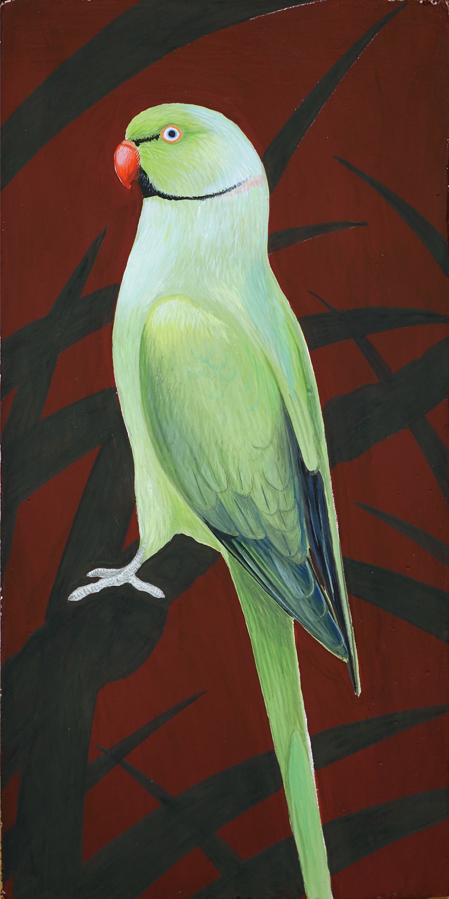 Lyuben Domozetski, Parrot II Lyuben Domozetski, Parrot II