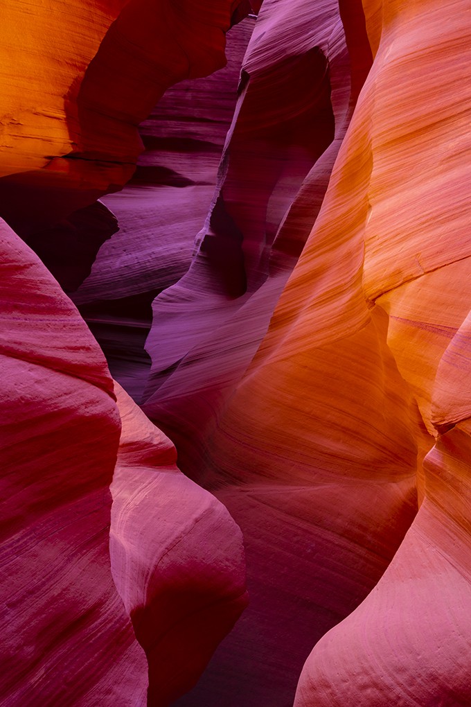 Alexia Rousse, Nature's Palette Alexia Rousse, Nature's Palette